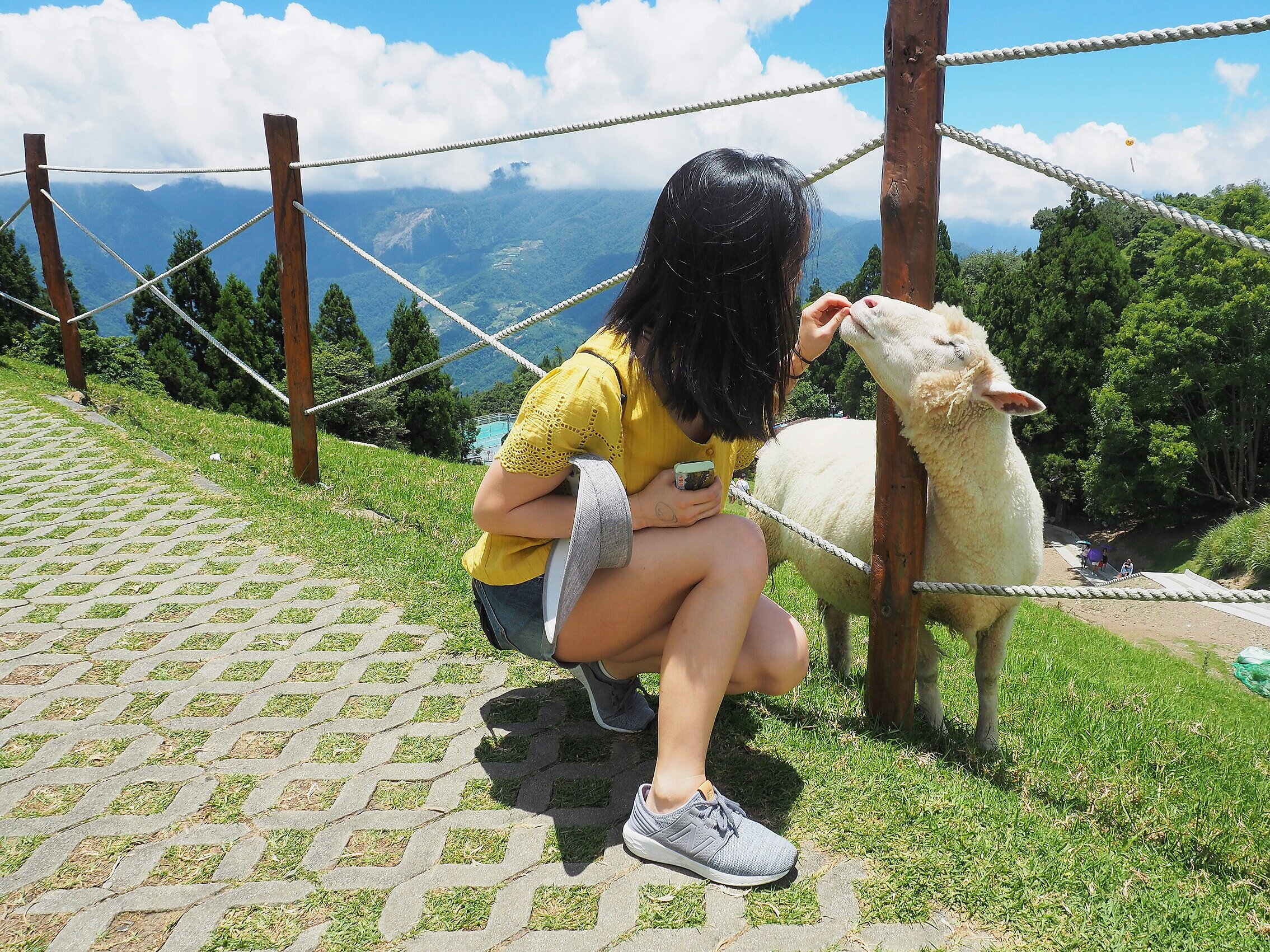 Qing Jing Sheep Farm