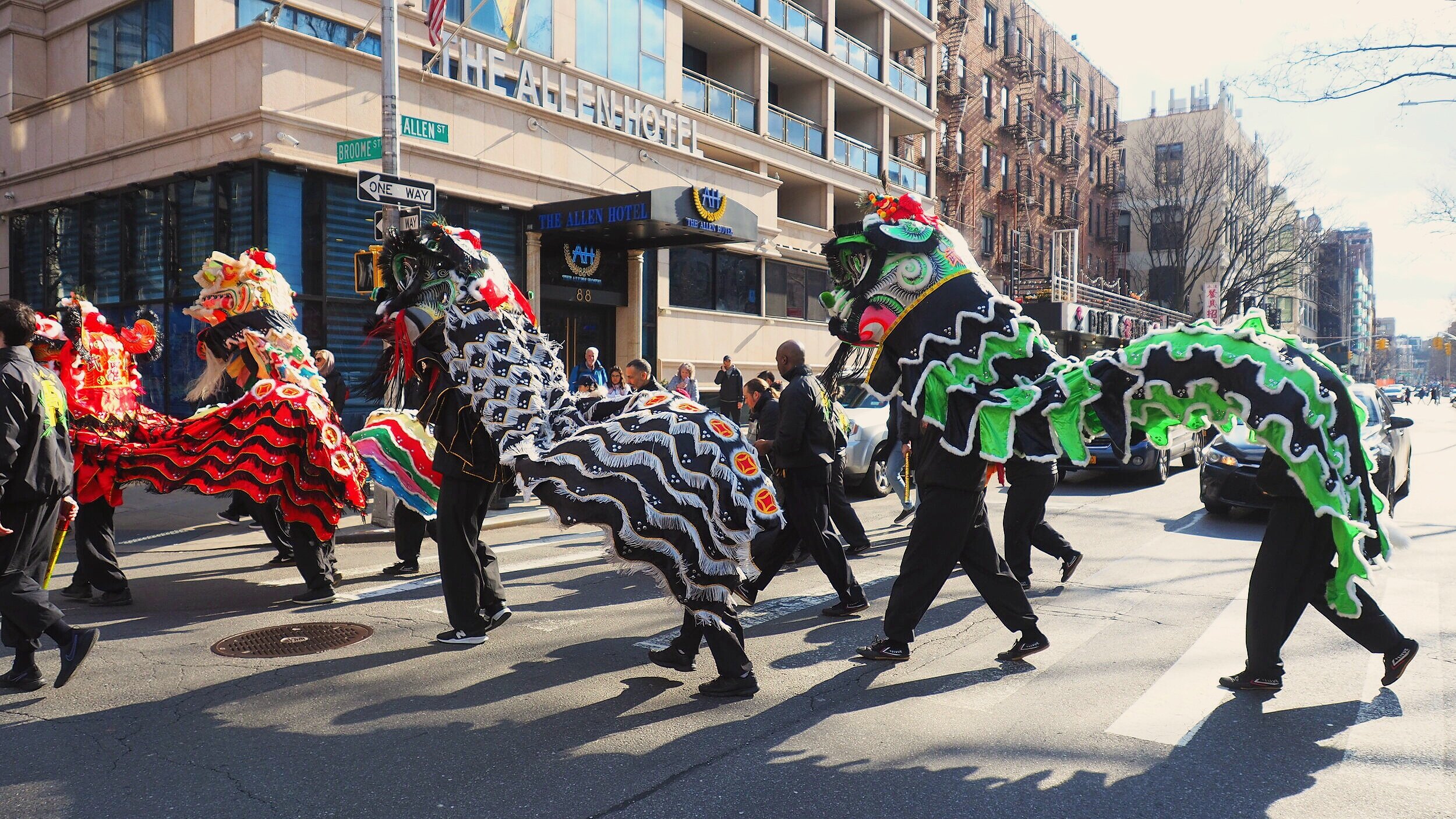 Chinese New Year Lion
