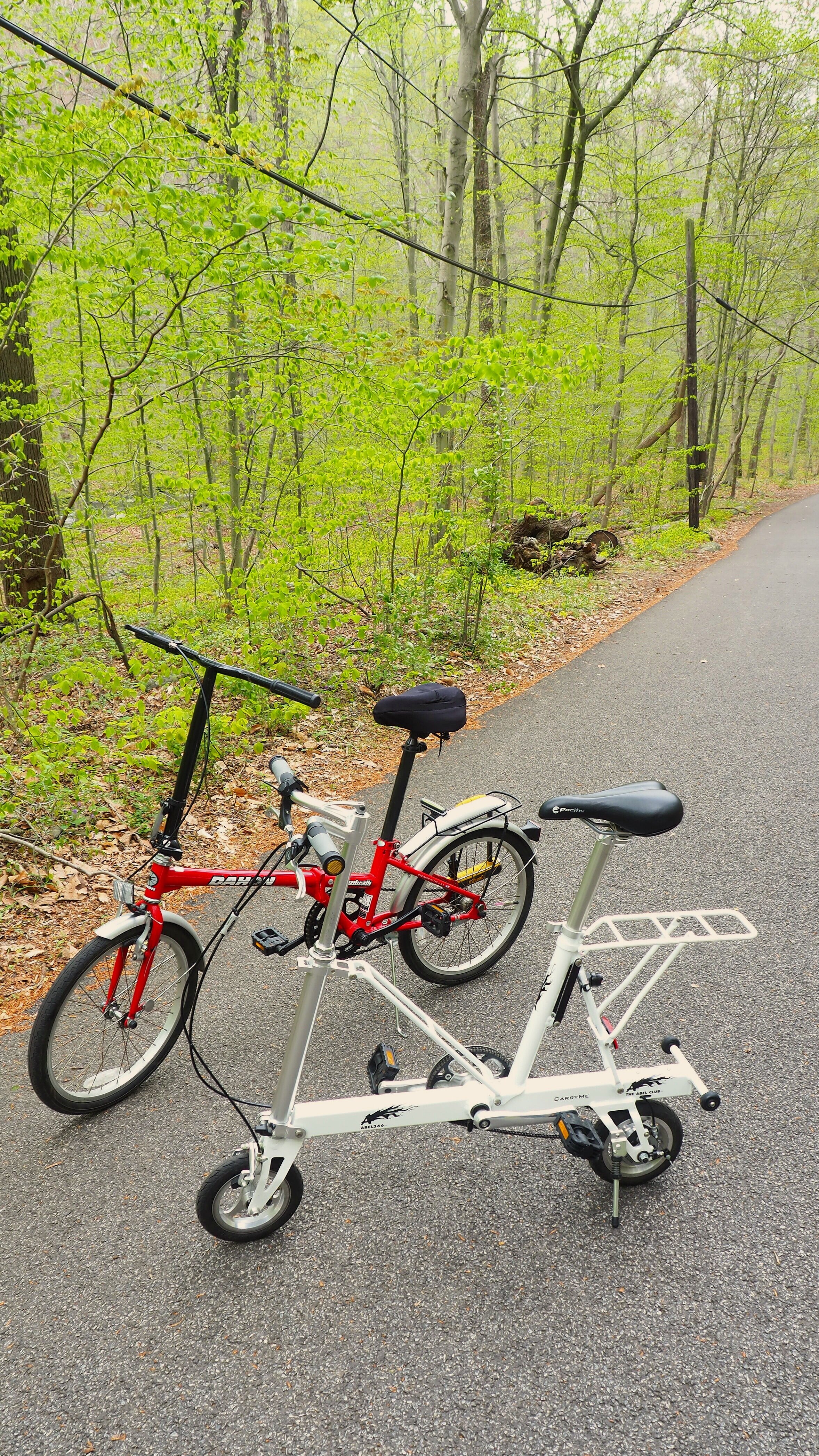 Ridley Creek State Park