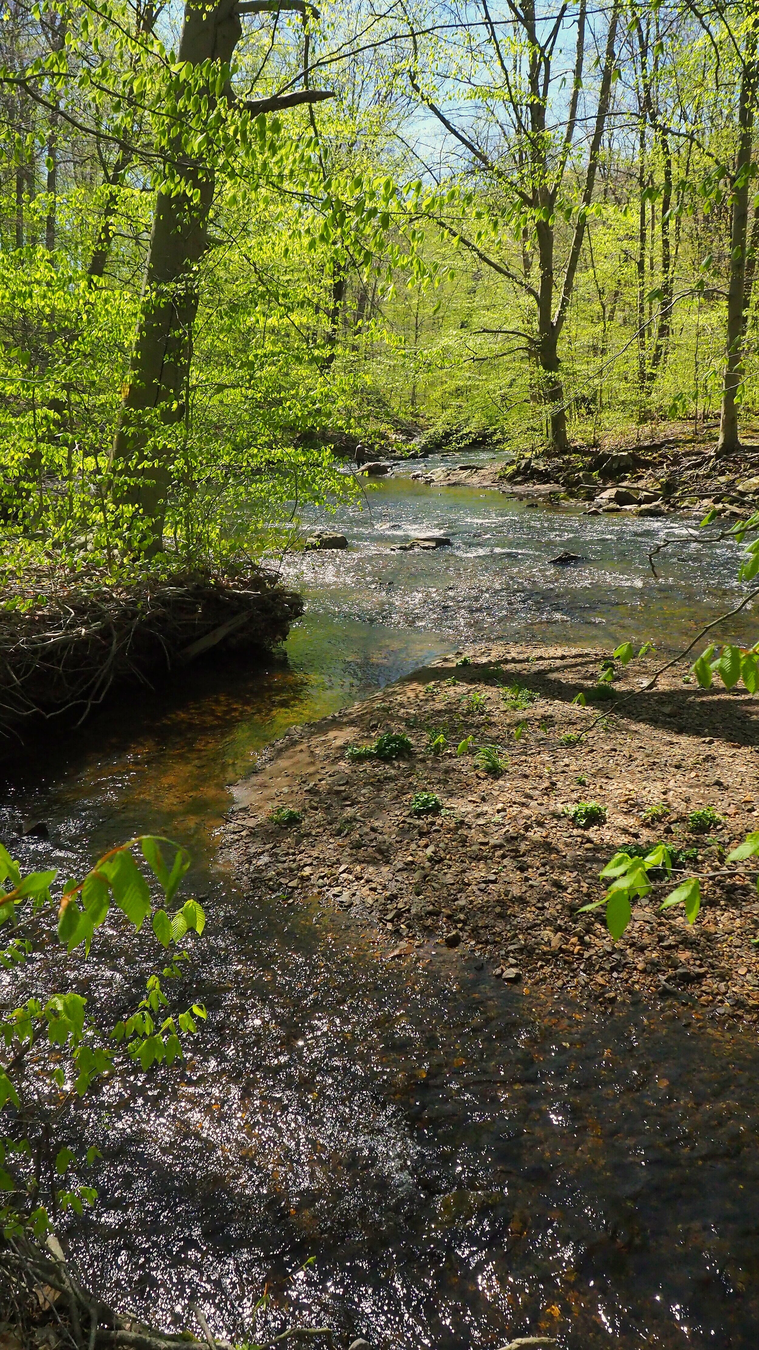 Ridley Creek State Park