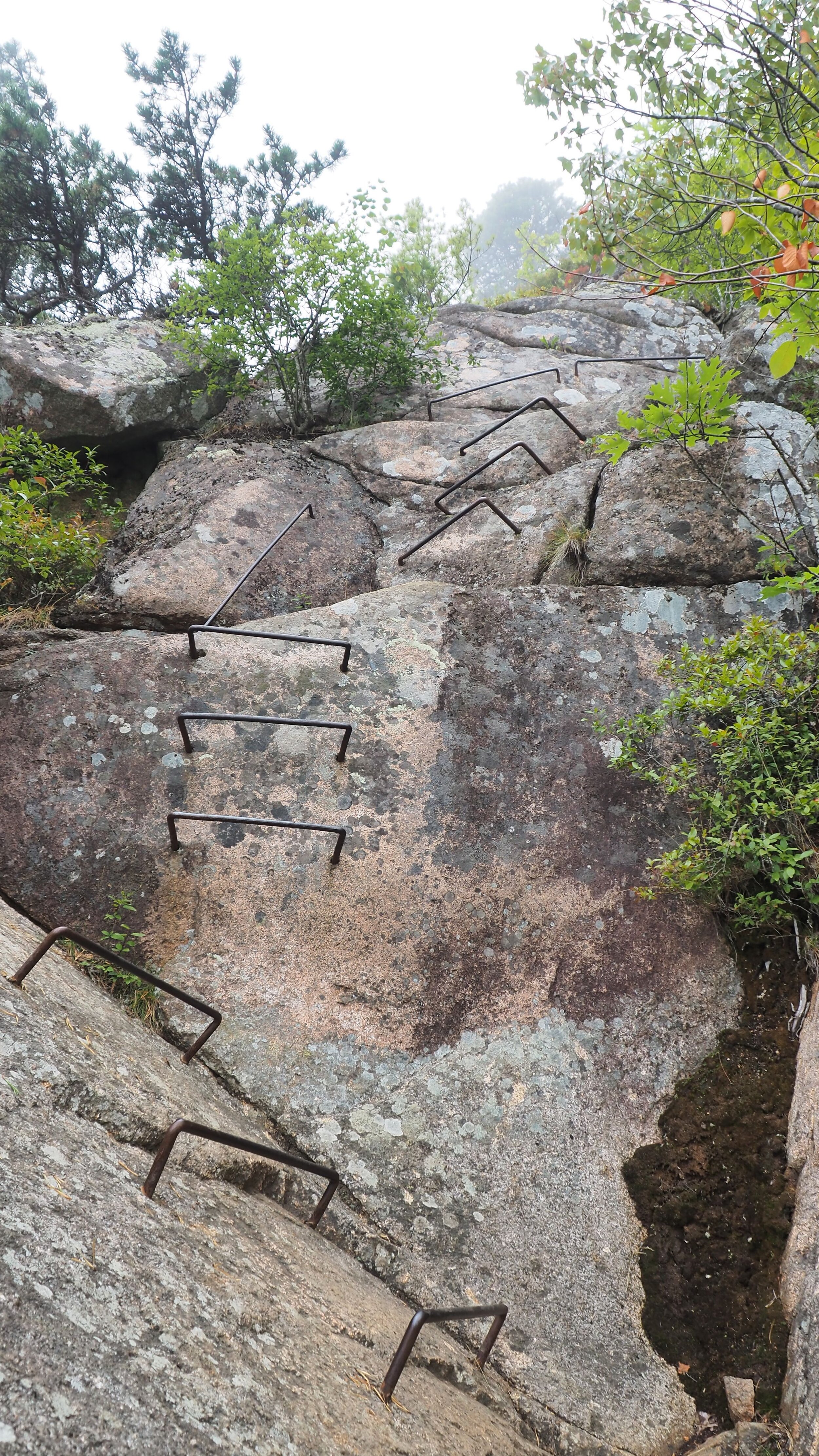 Acadia National Park Precipice Trail