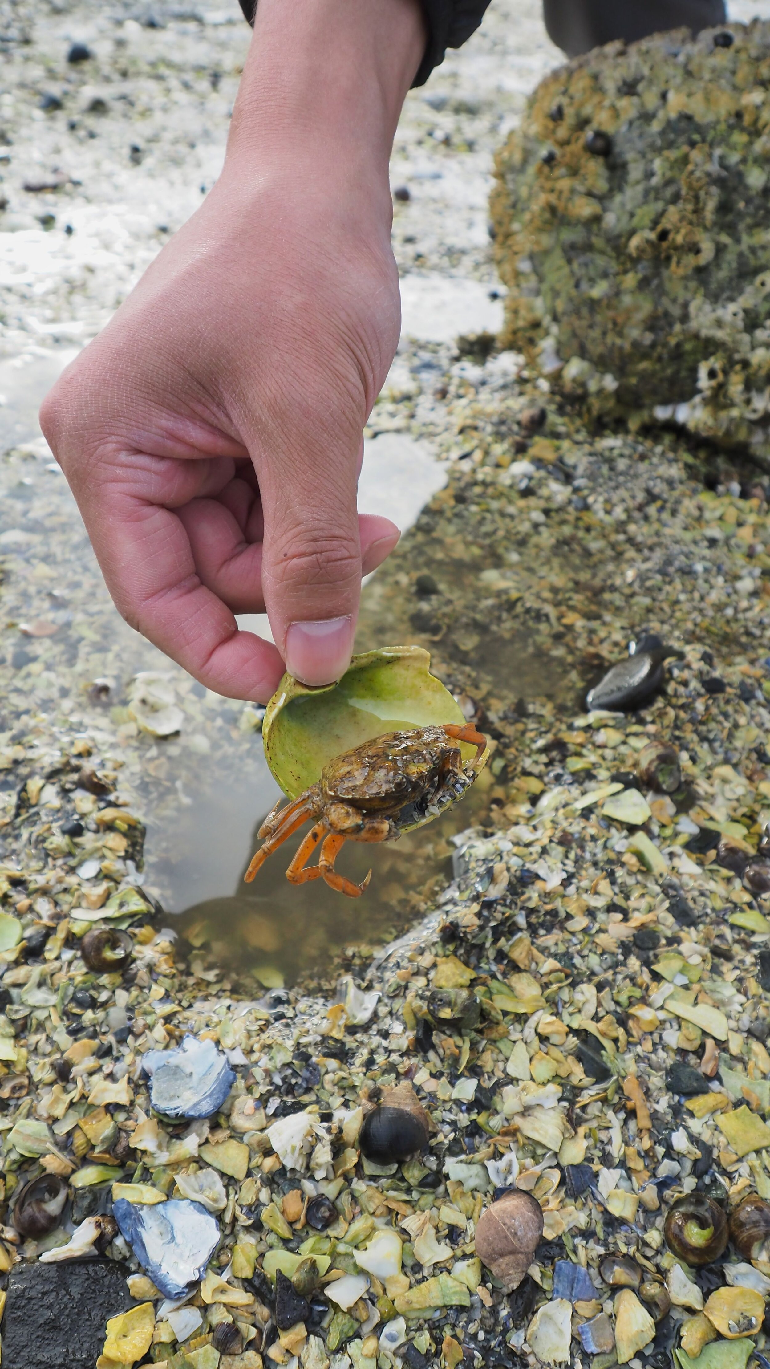 Bar Harbor Bar Island