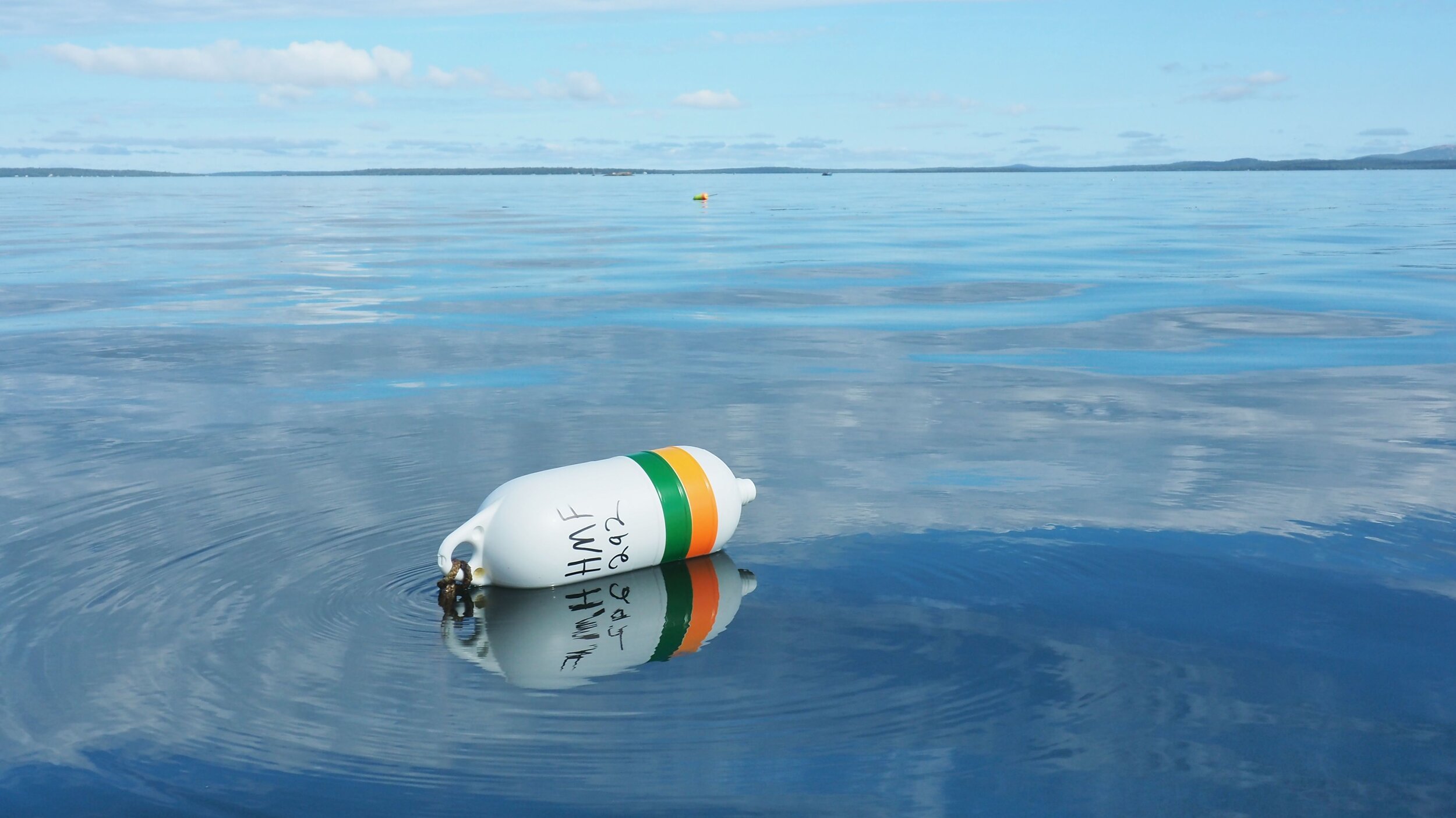 Lobster buoys in Mount Desert Narrows
