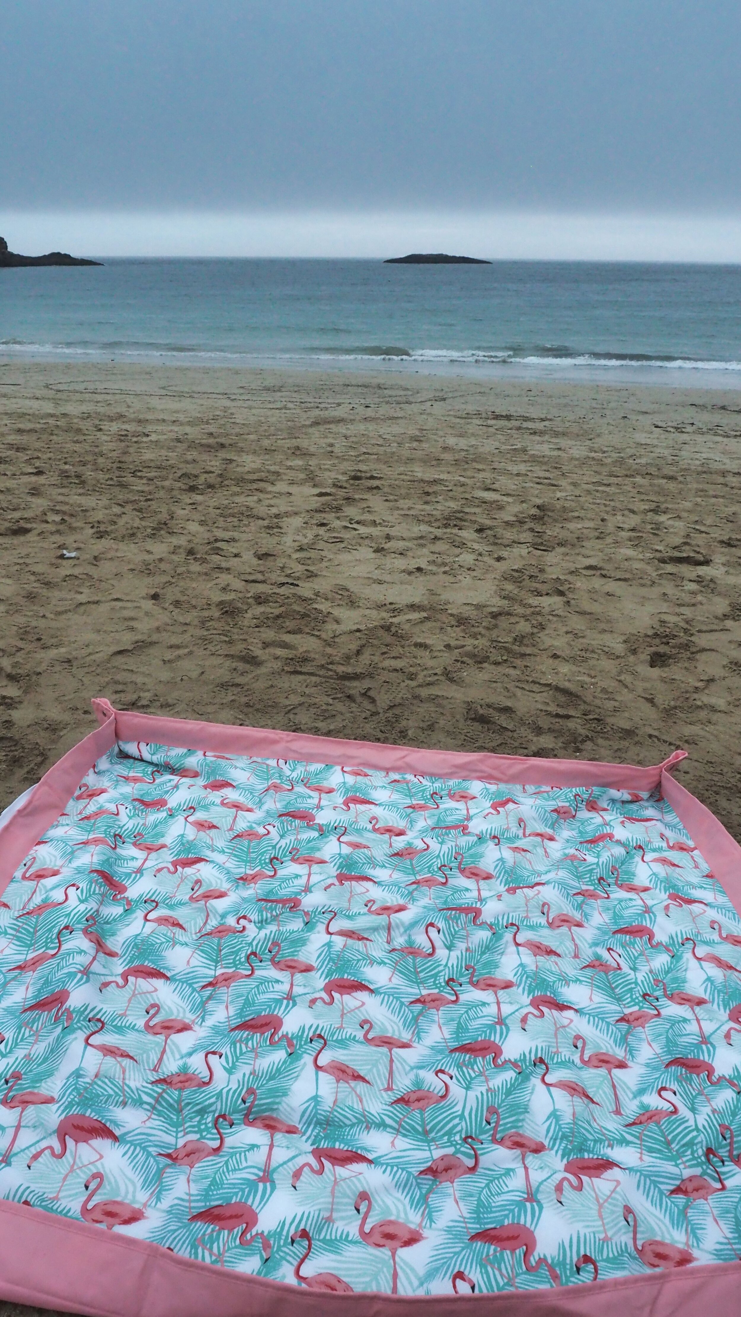 Sand Beach Bar Harbor