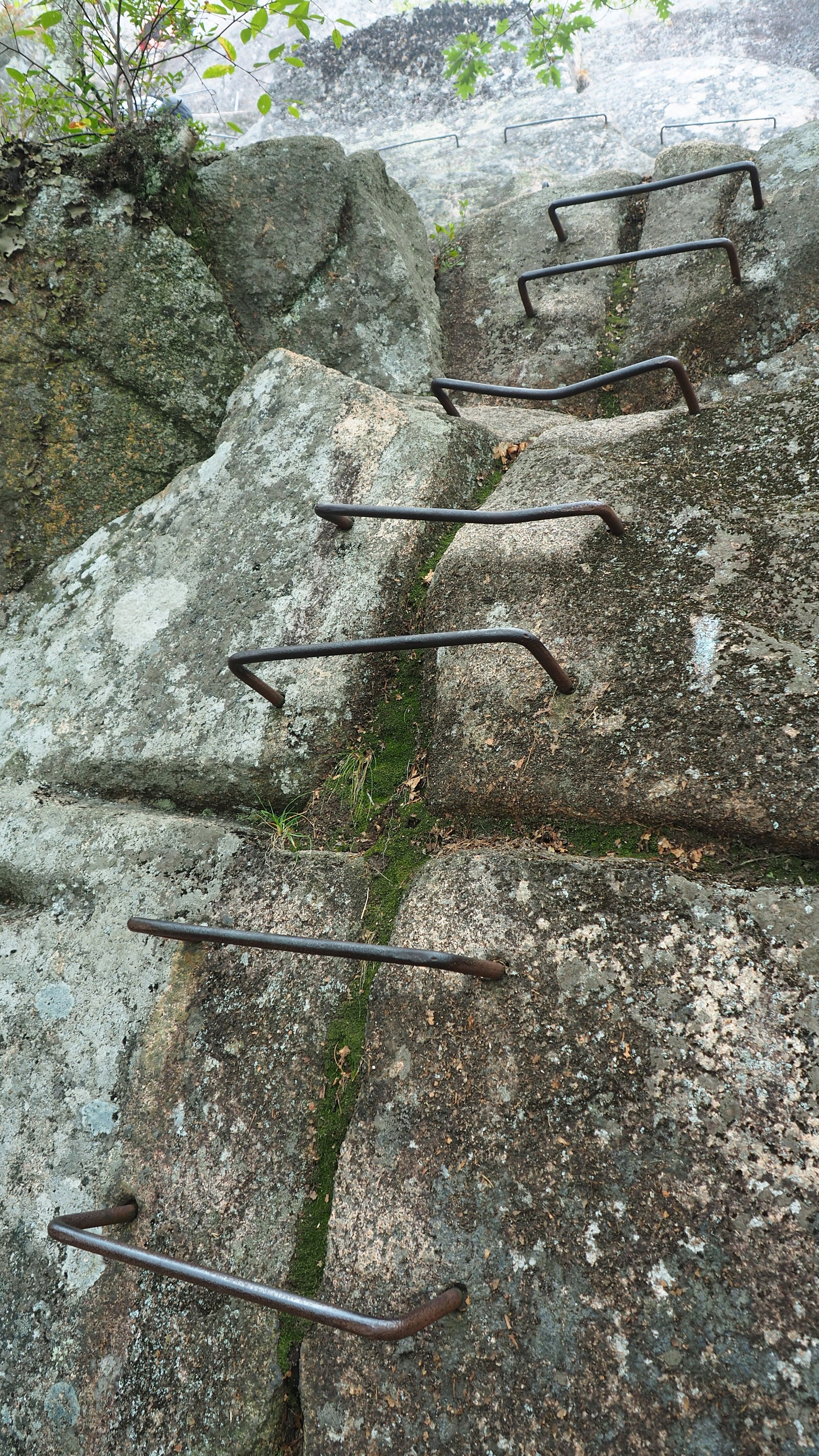 Acadia National Park Precipice Trail