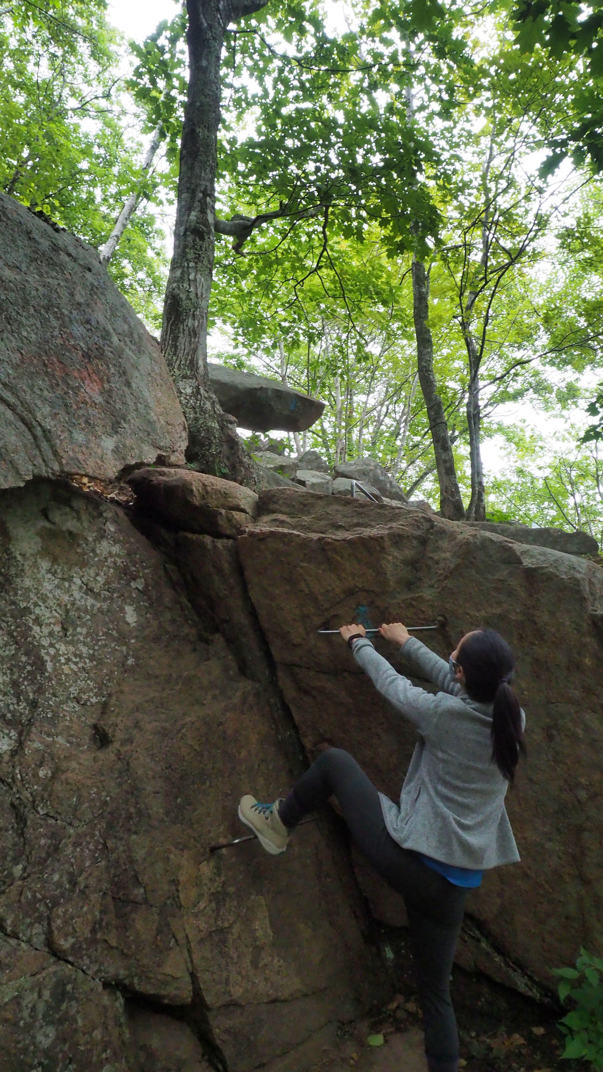 Precipice Acadia National Park