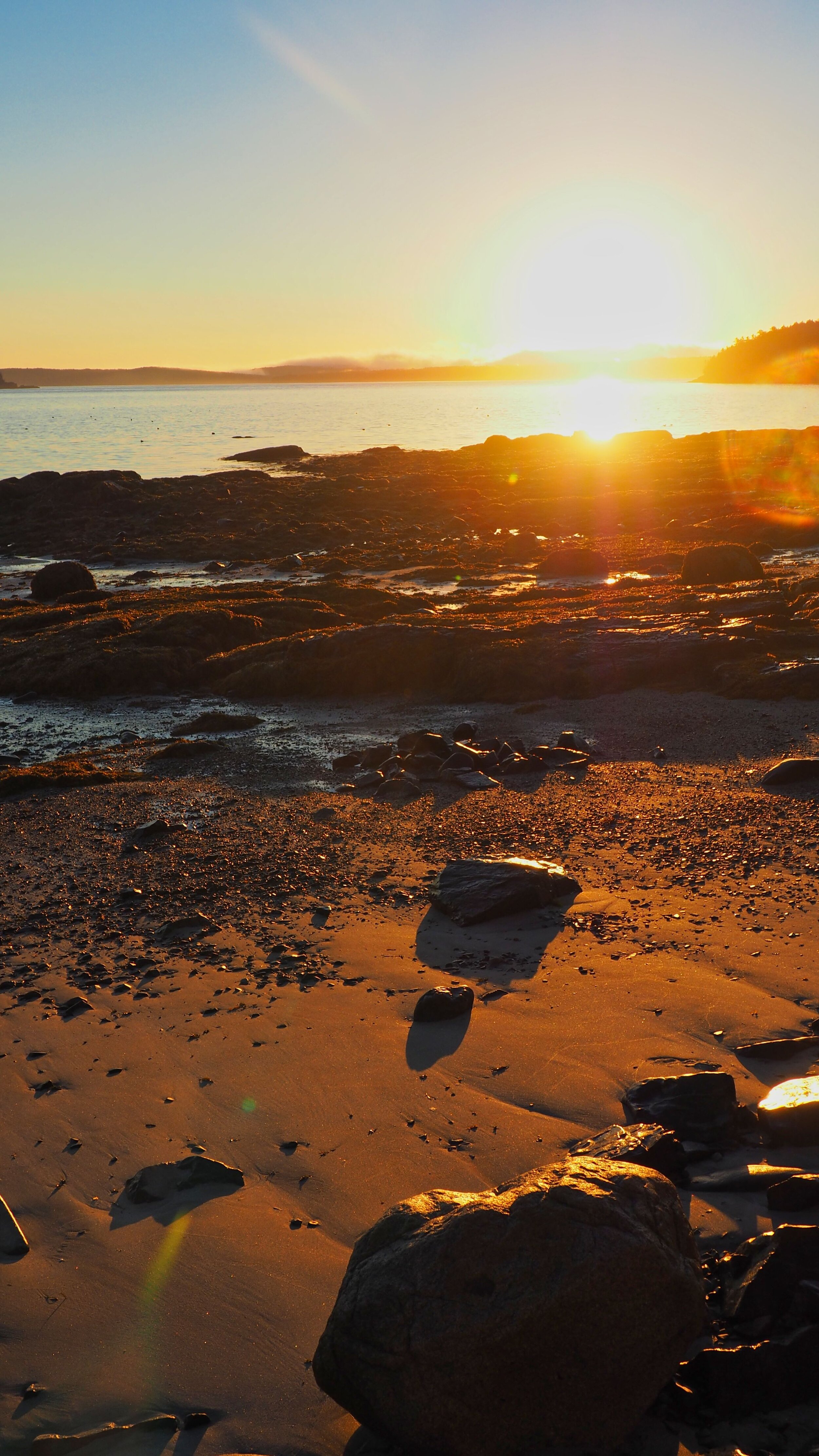 Acadia Bar Harbor Sunrise