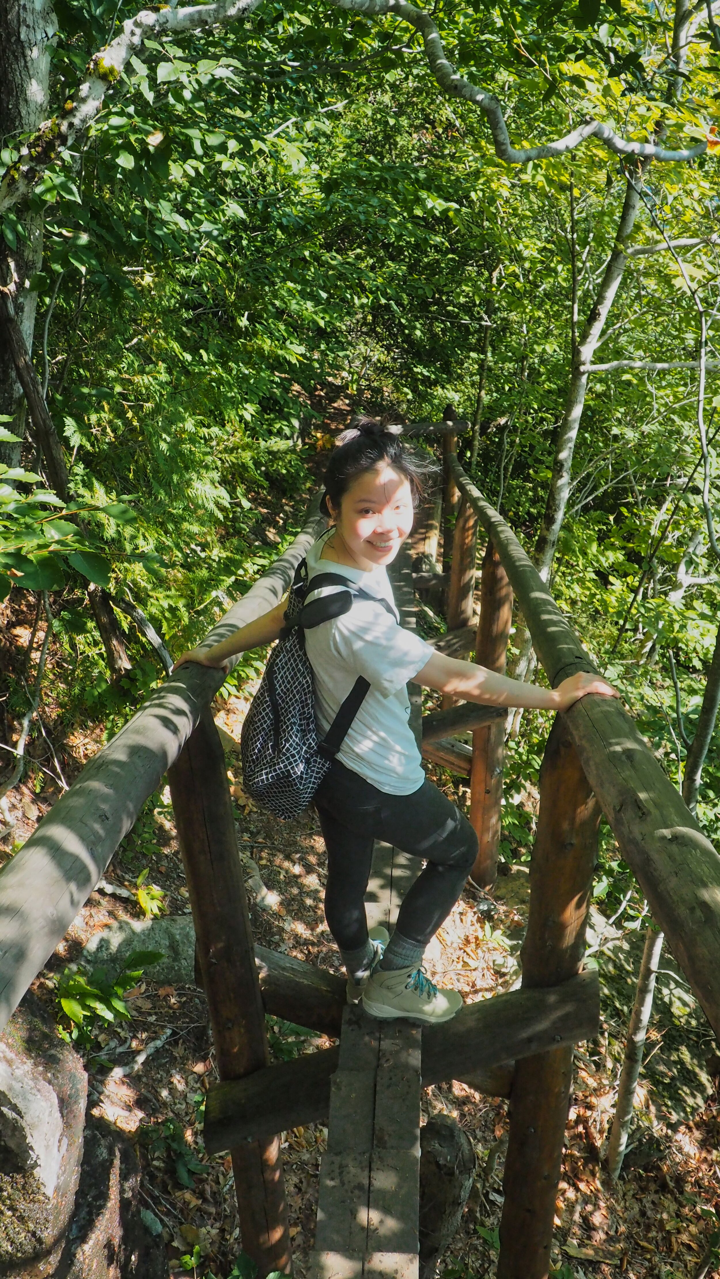 Bridge in the middle of Jordan Cliffs Trail