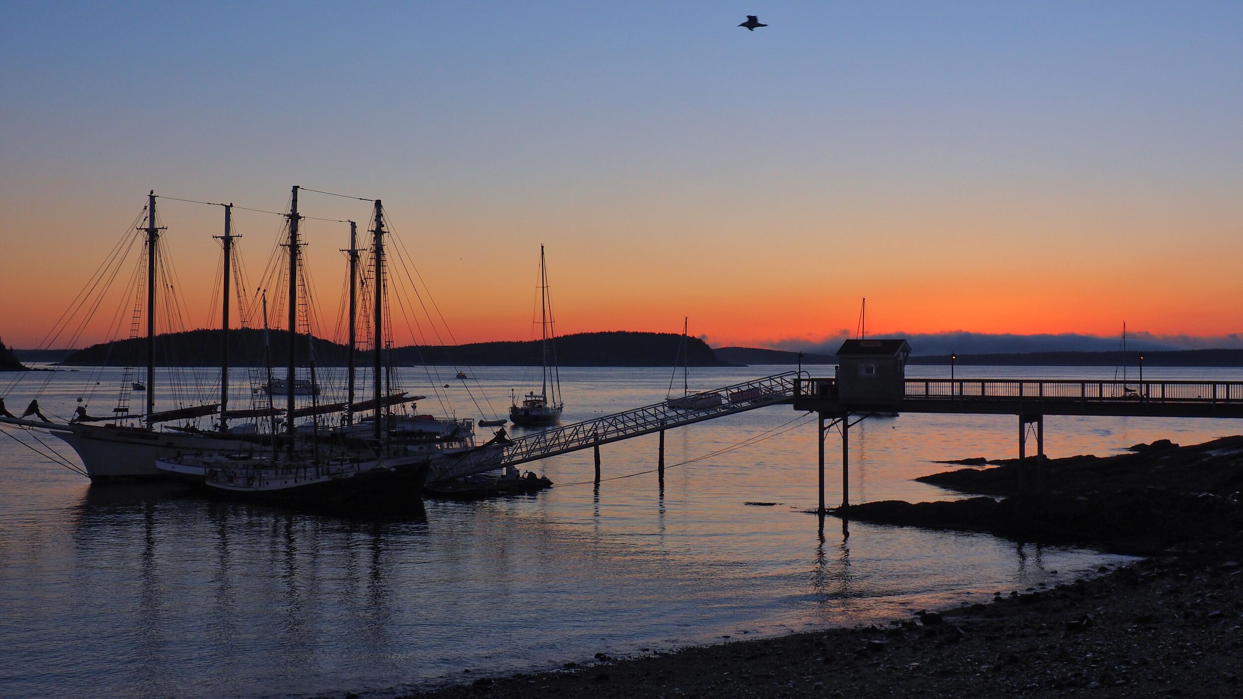 Acadia Bar Harbor Sunrise