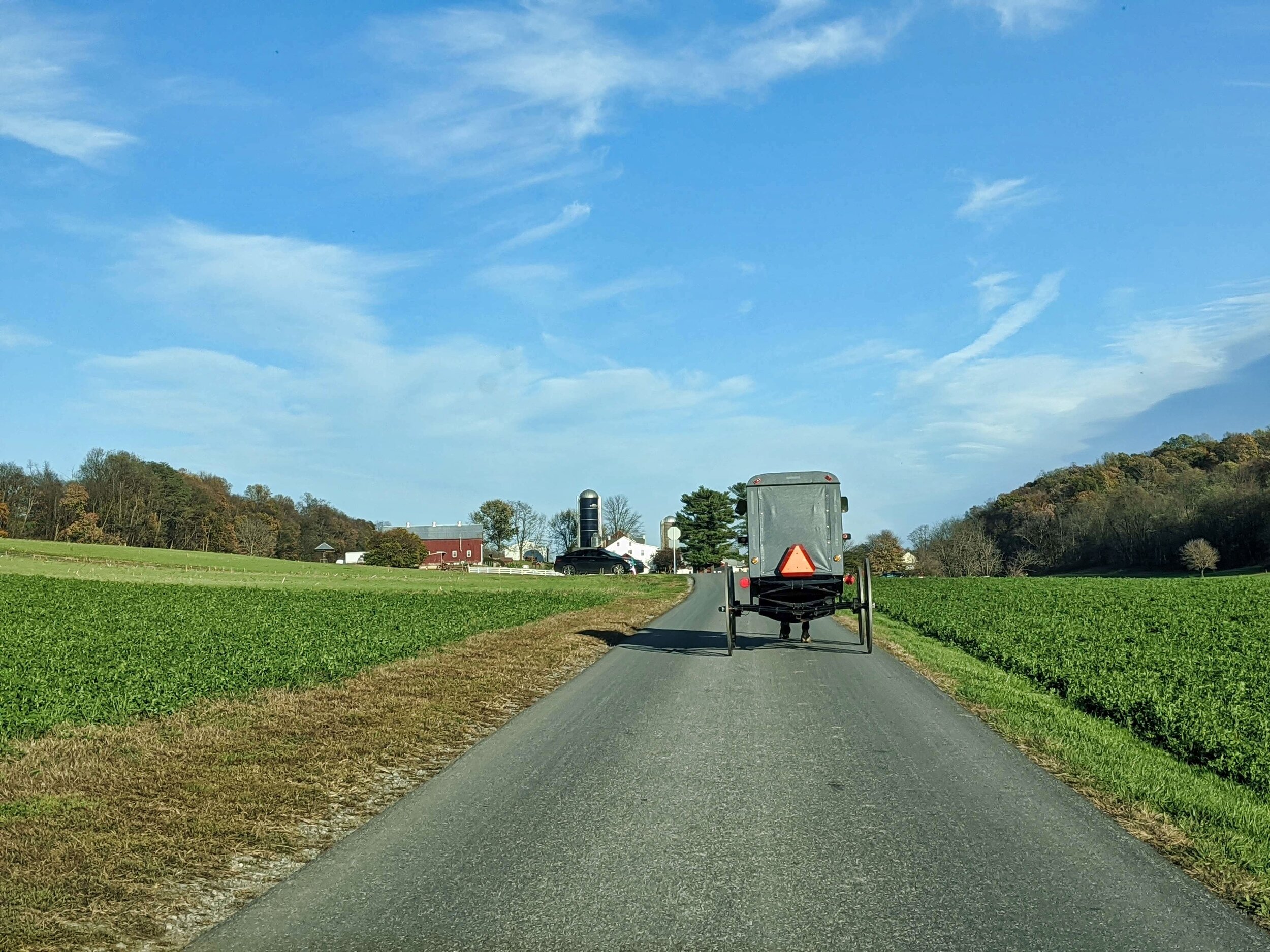 Amish horse drawn buggy
