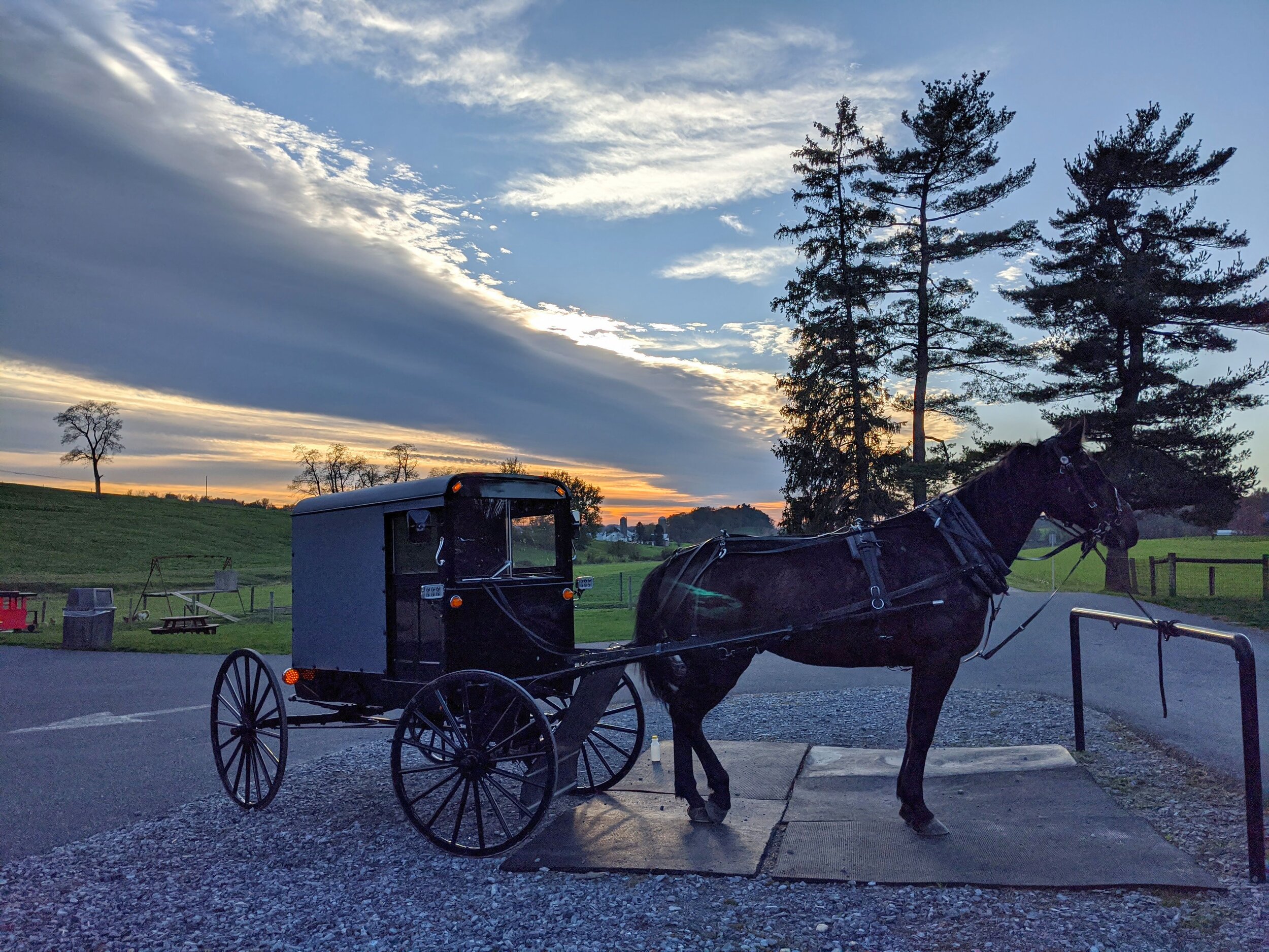 Amish buggy