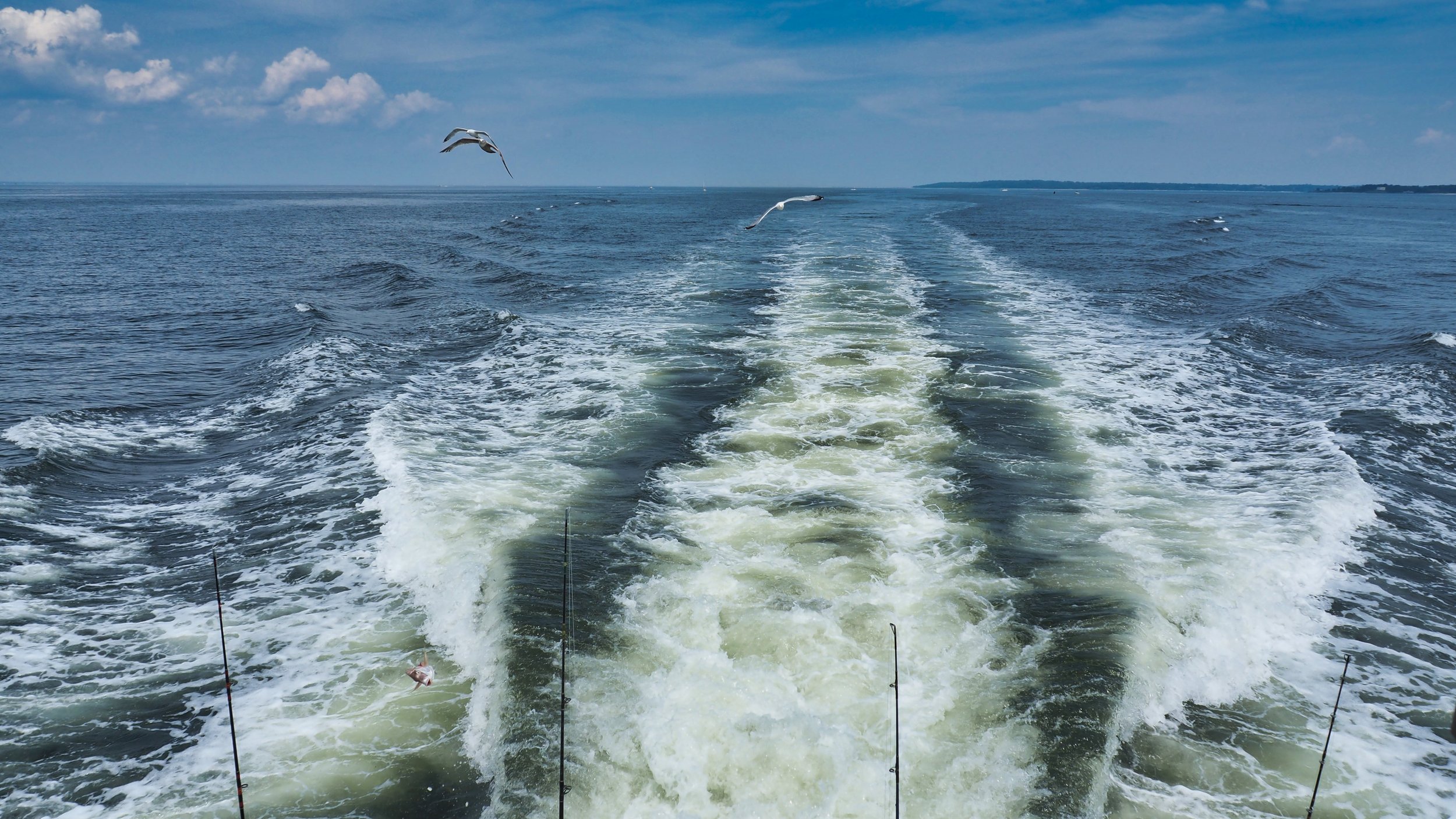 long island new york fishing charter