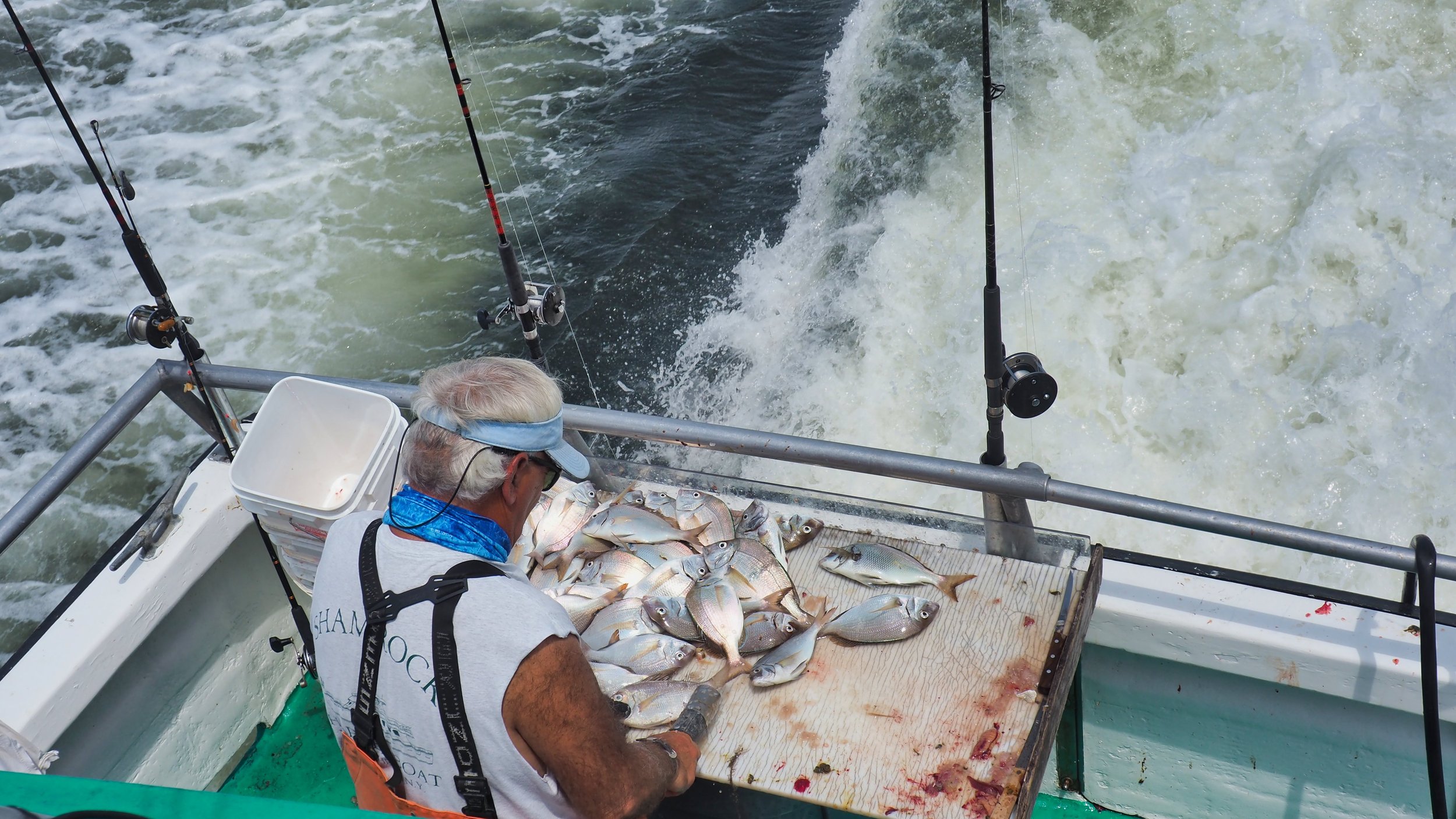 long island new york fishing charter