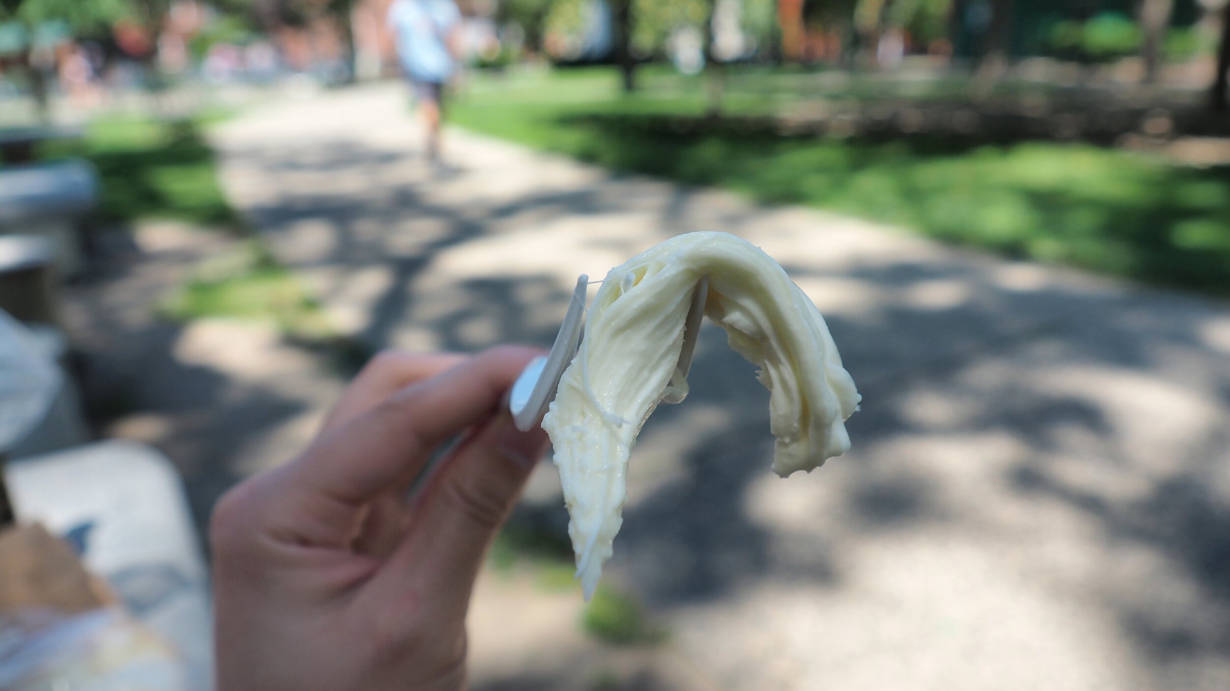 Fiore’s mozzarella Italian Deli