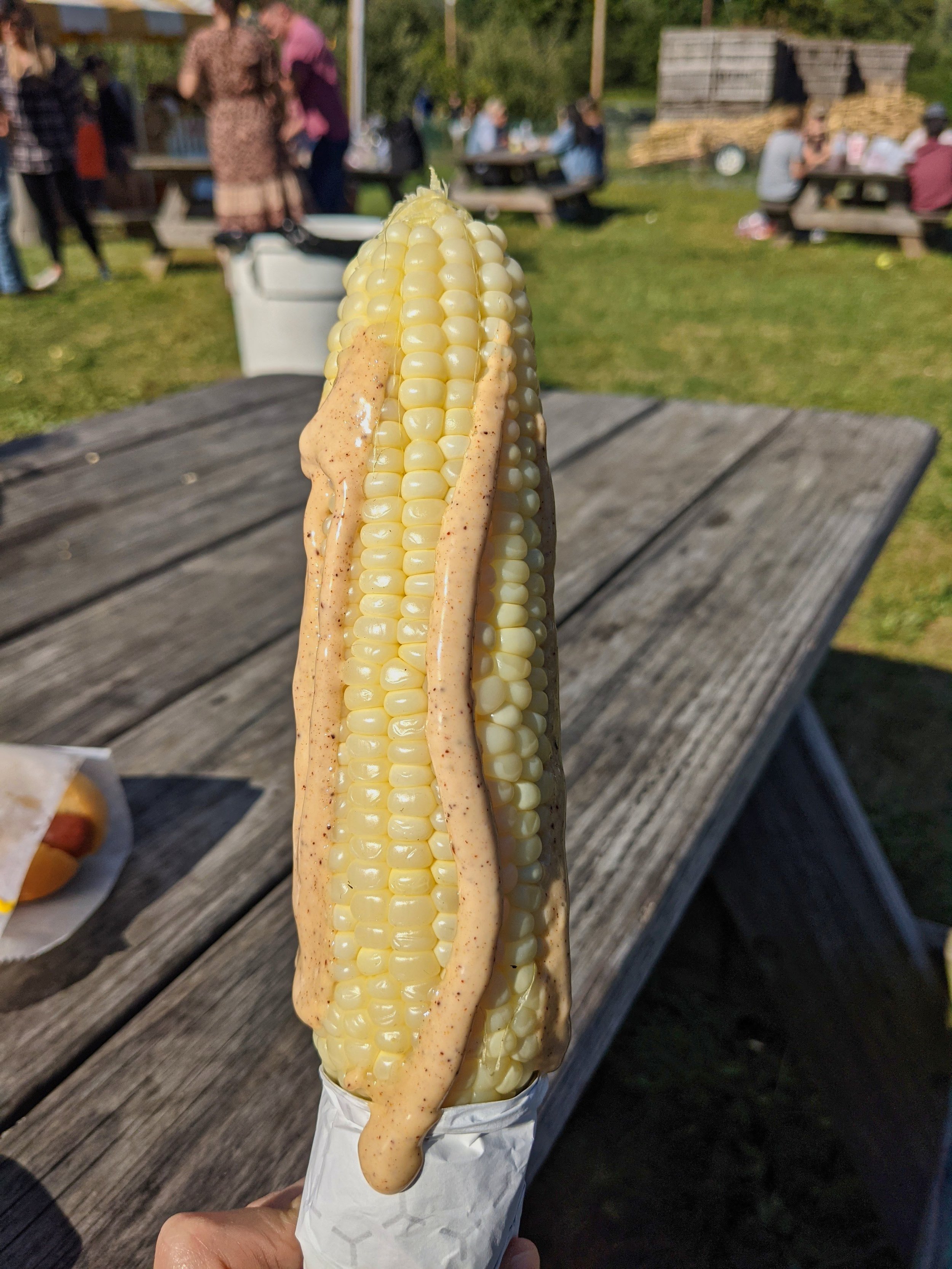 apple farm corn on the cob