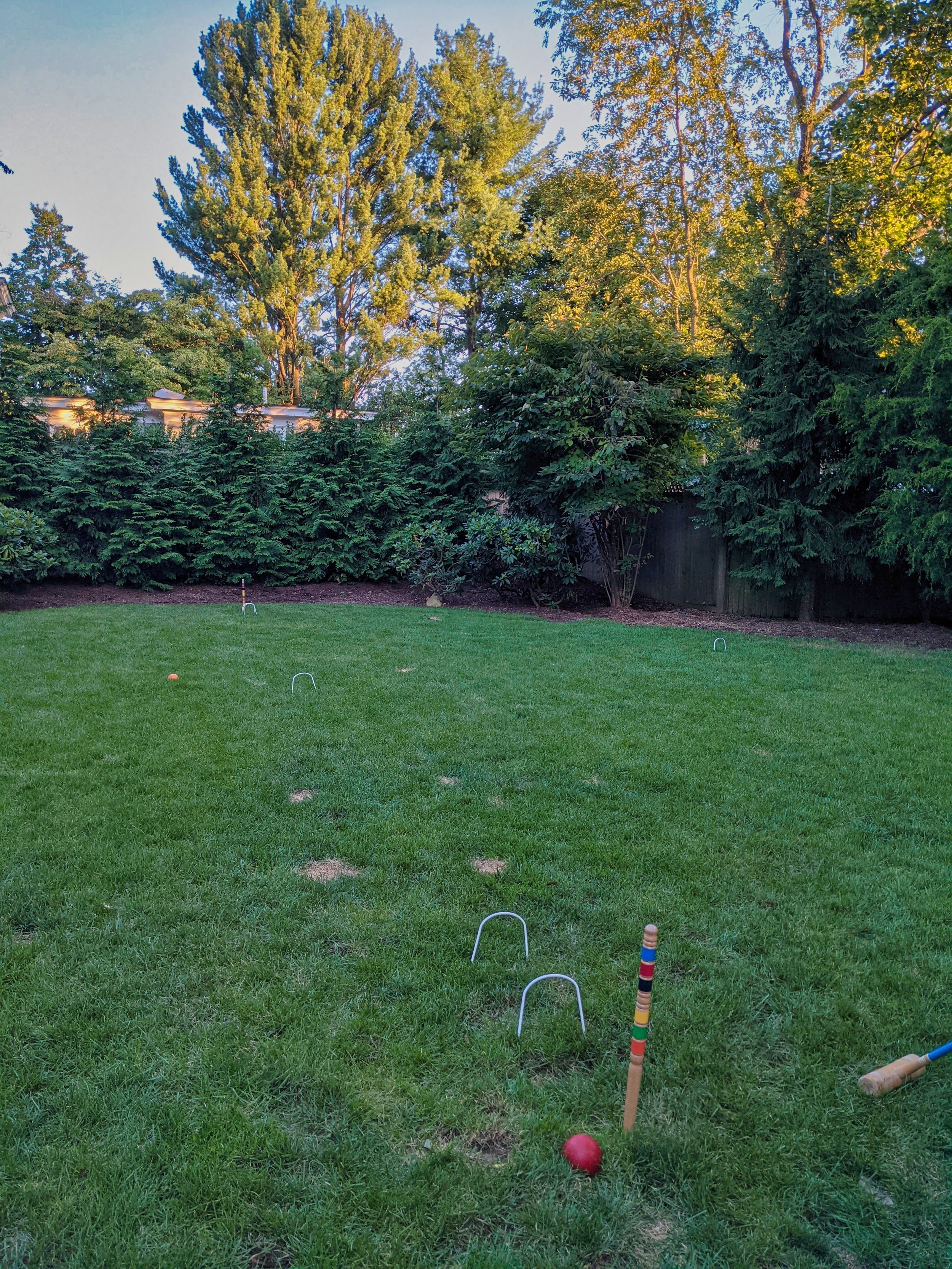 backyard croquet