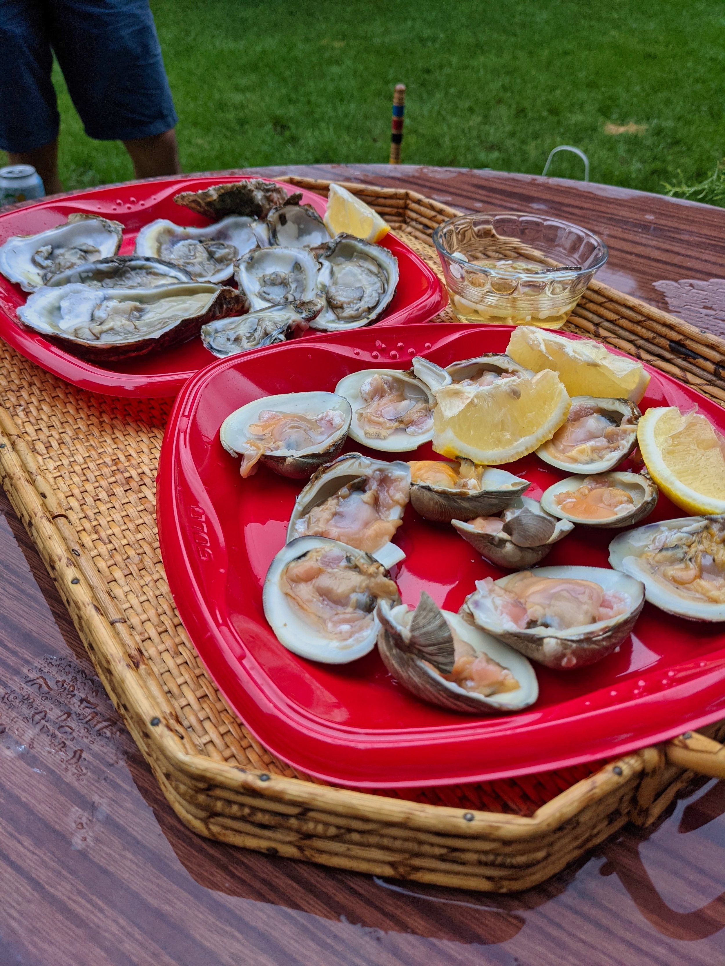 backyard oyster party