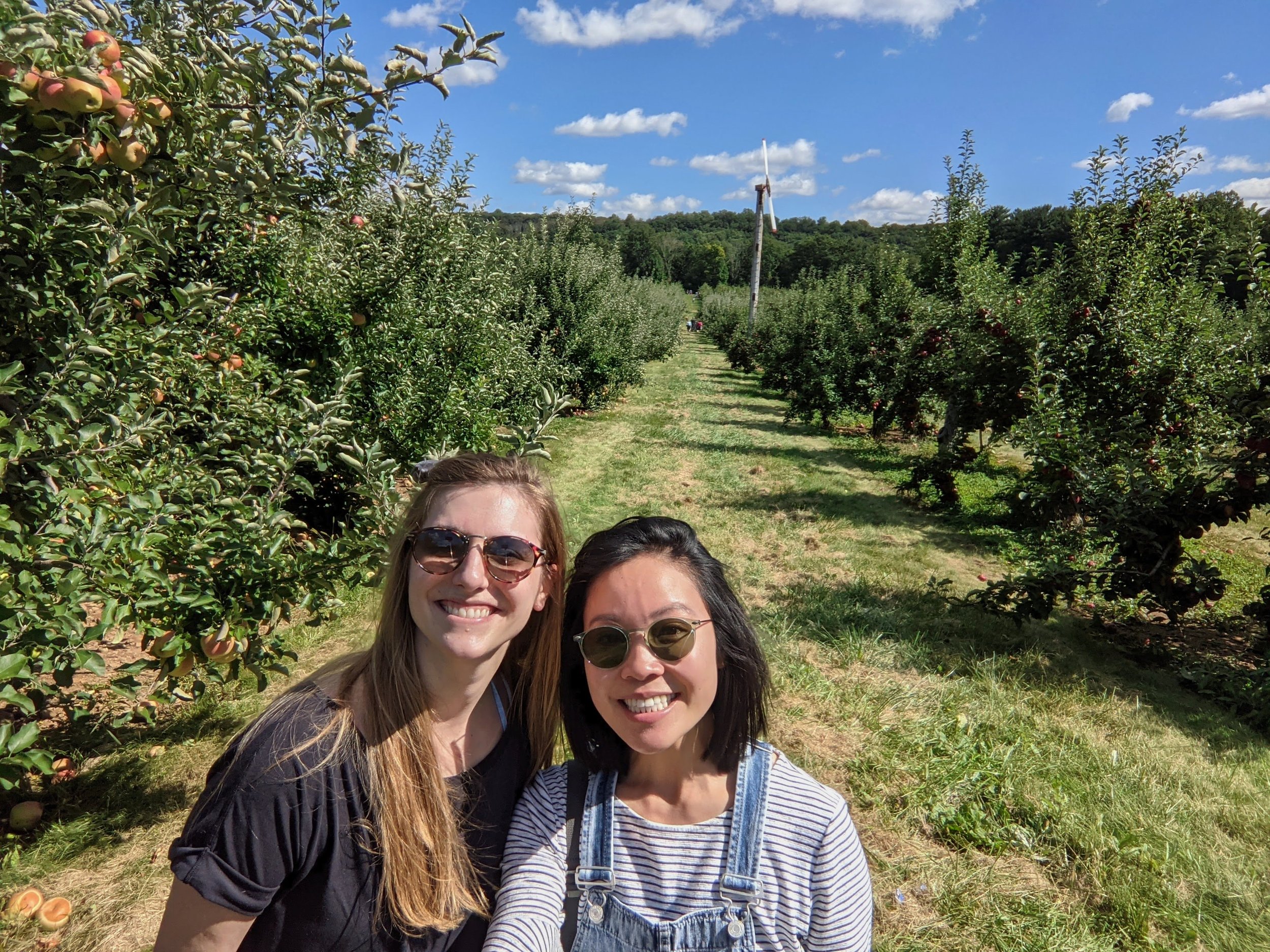 apple picking new york new jersey