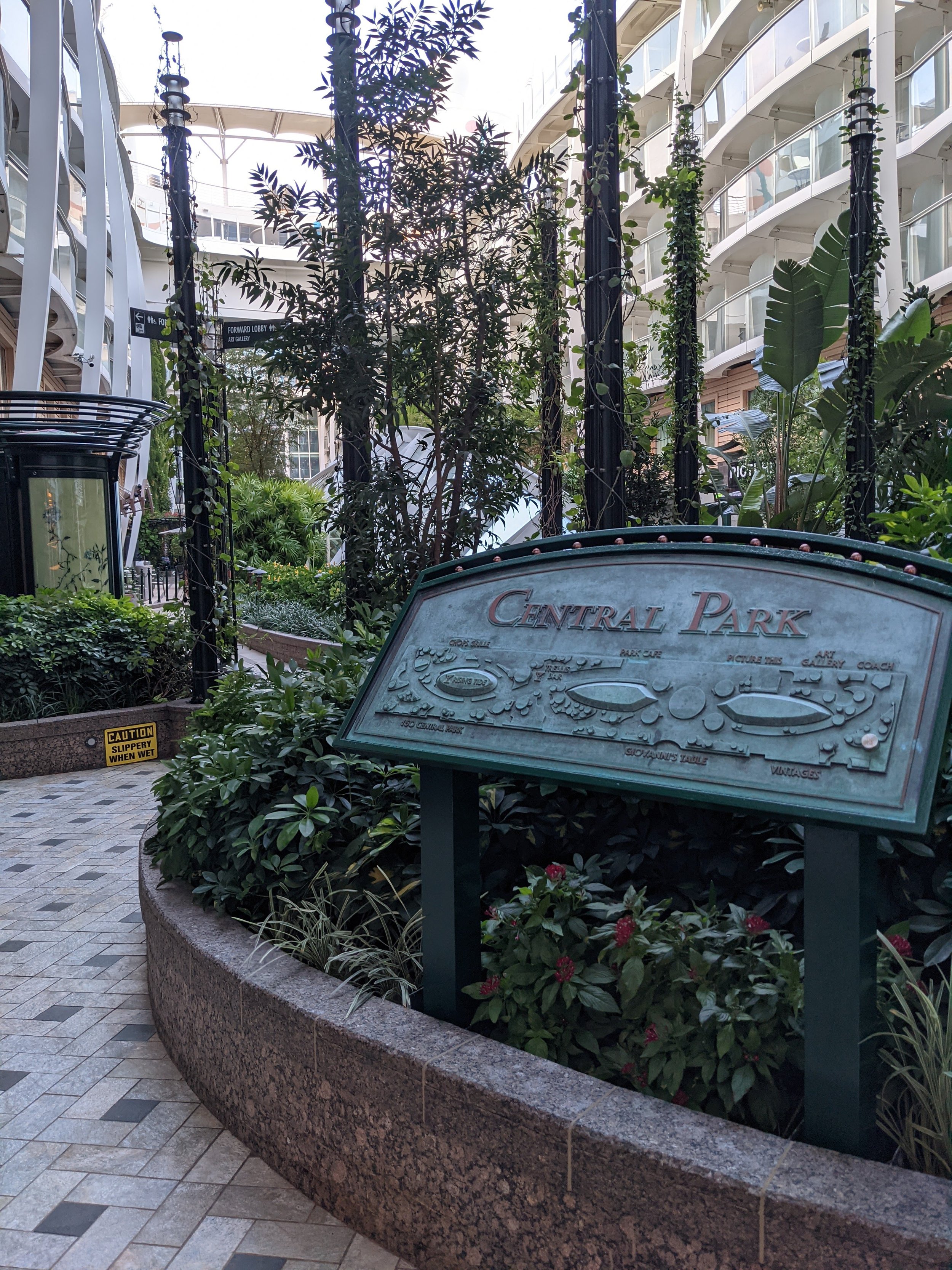 royal caribbean allure central park