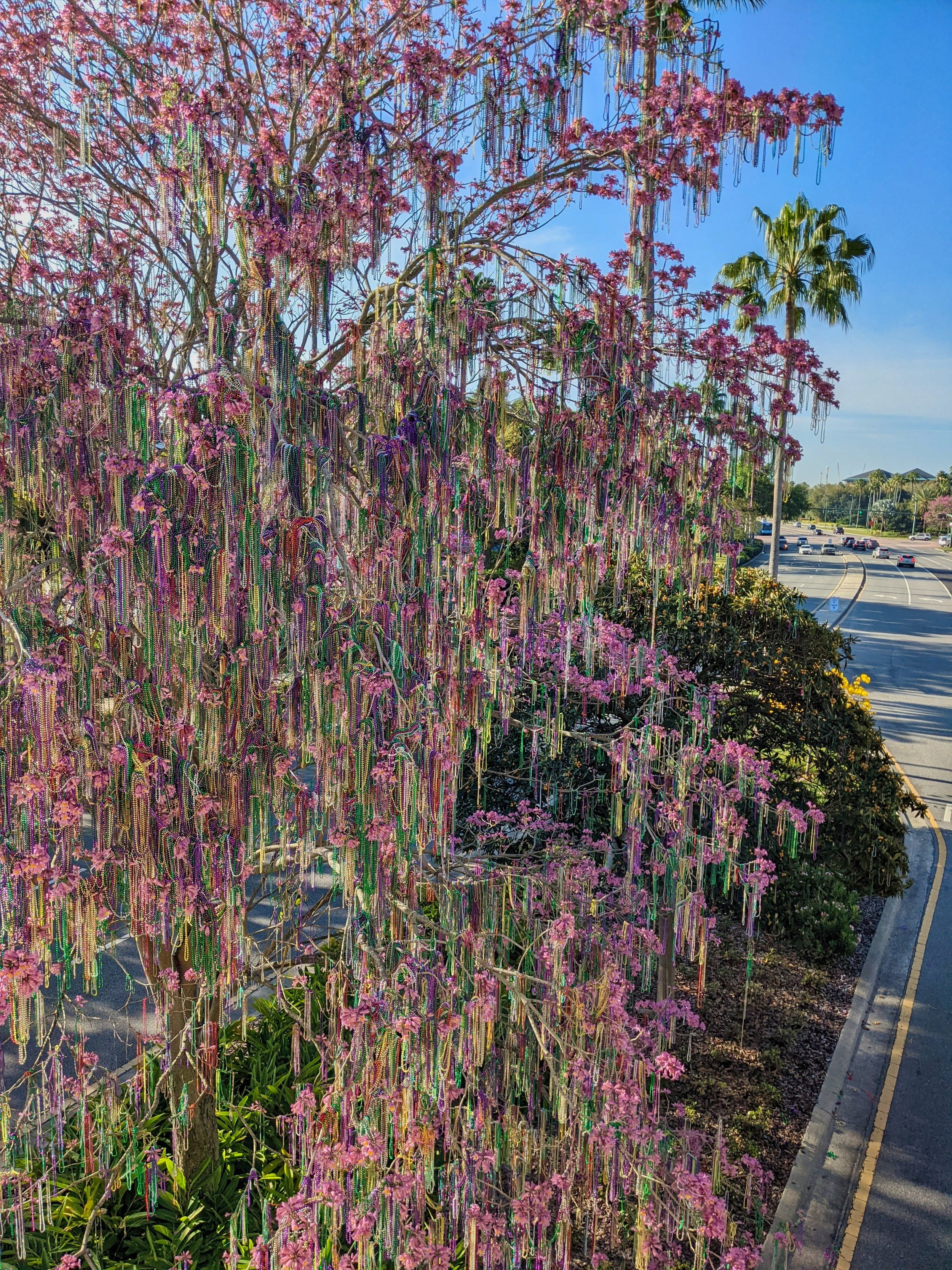 Universal Studios Orlando Mardi Gras