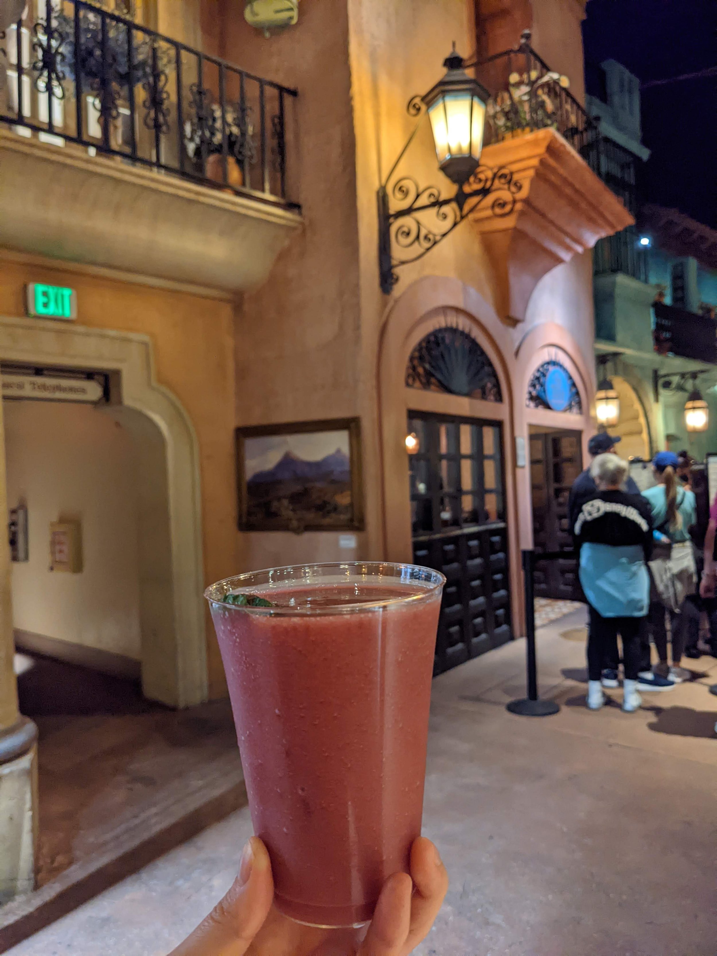 Disney Epcot drink around the world