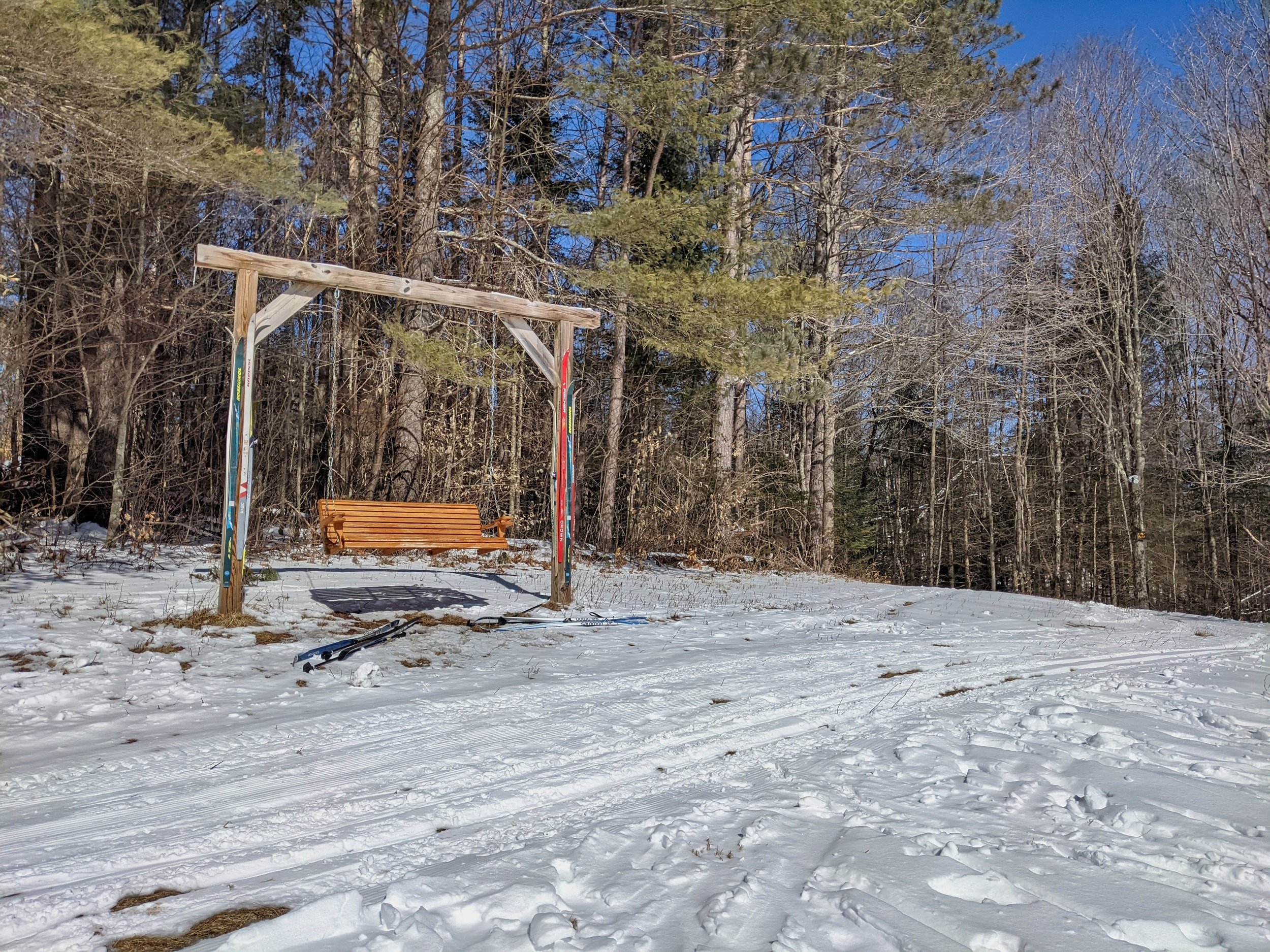 Viking Nordic skiing Londonderry Vermont