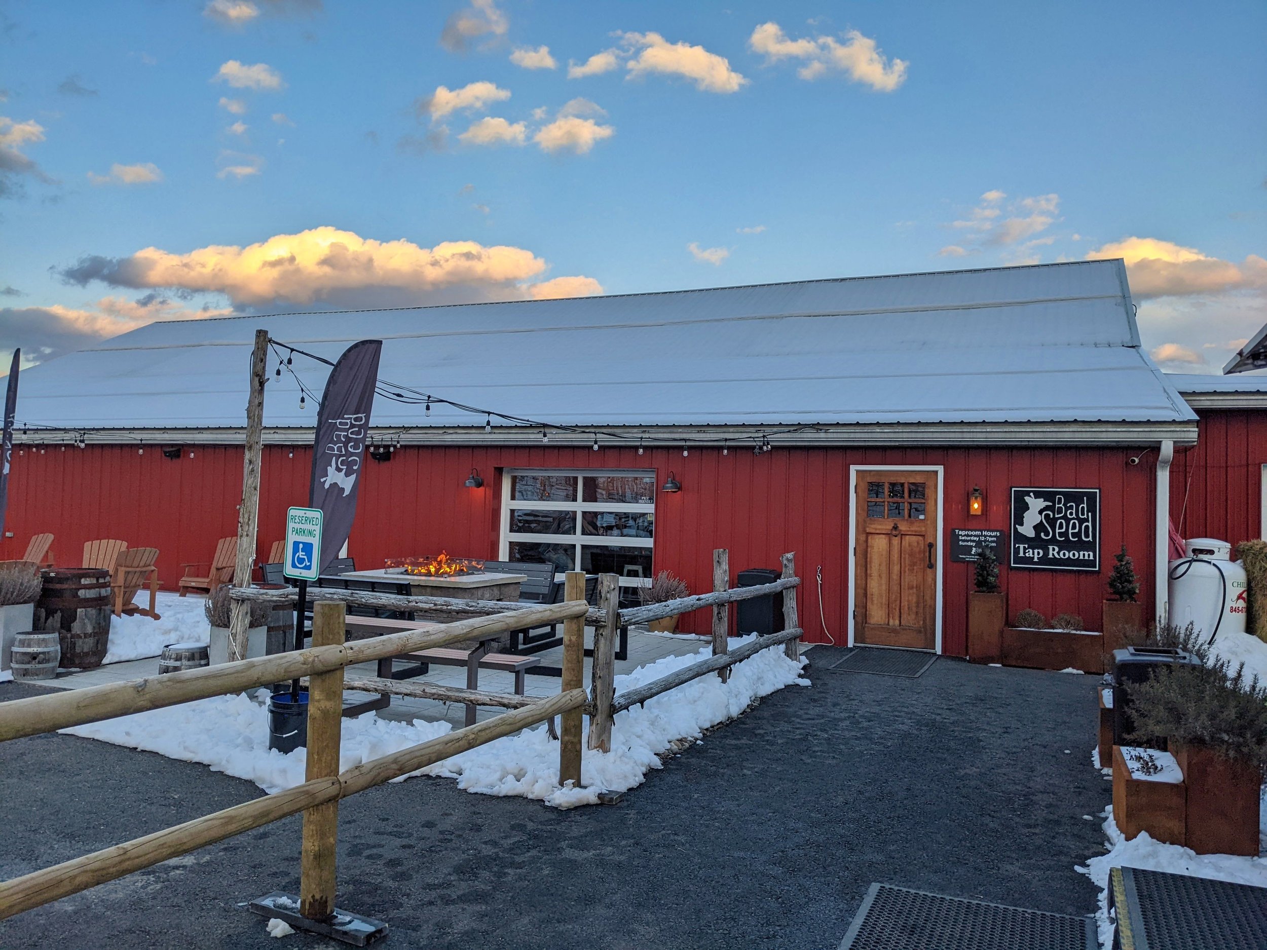 Bad Seed Cider New York