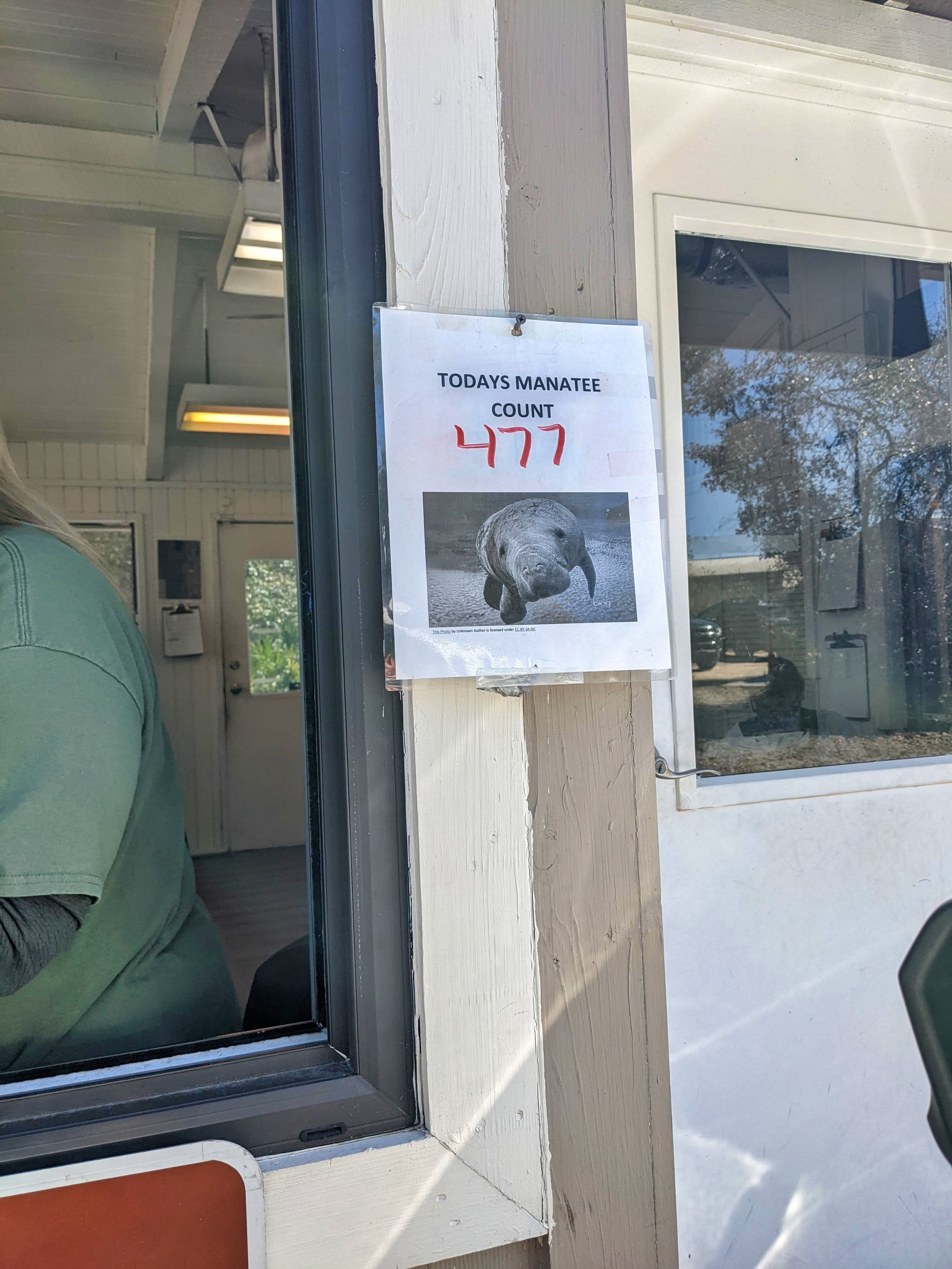 Blue Spring State Park manatee count