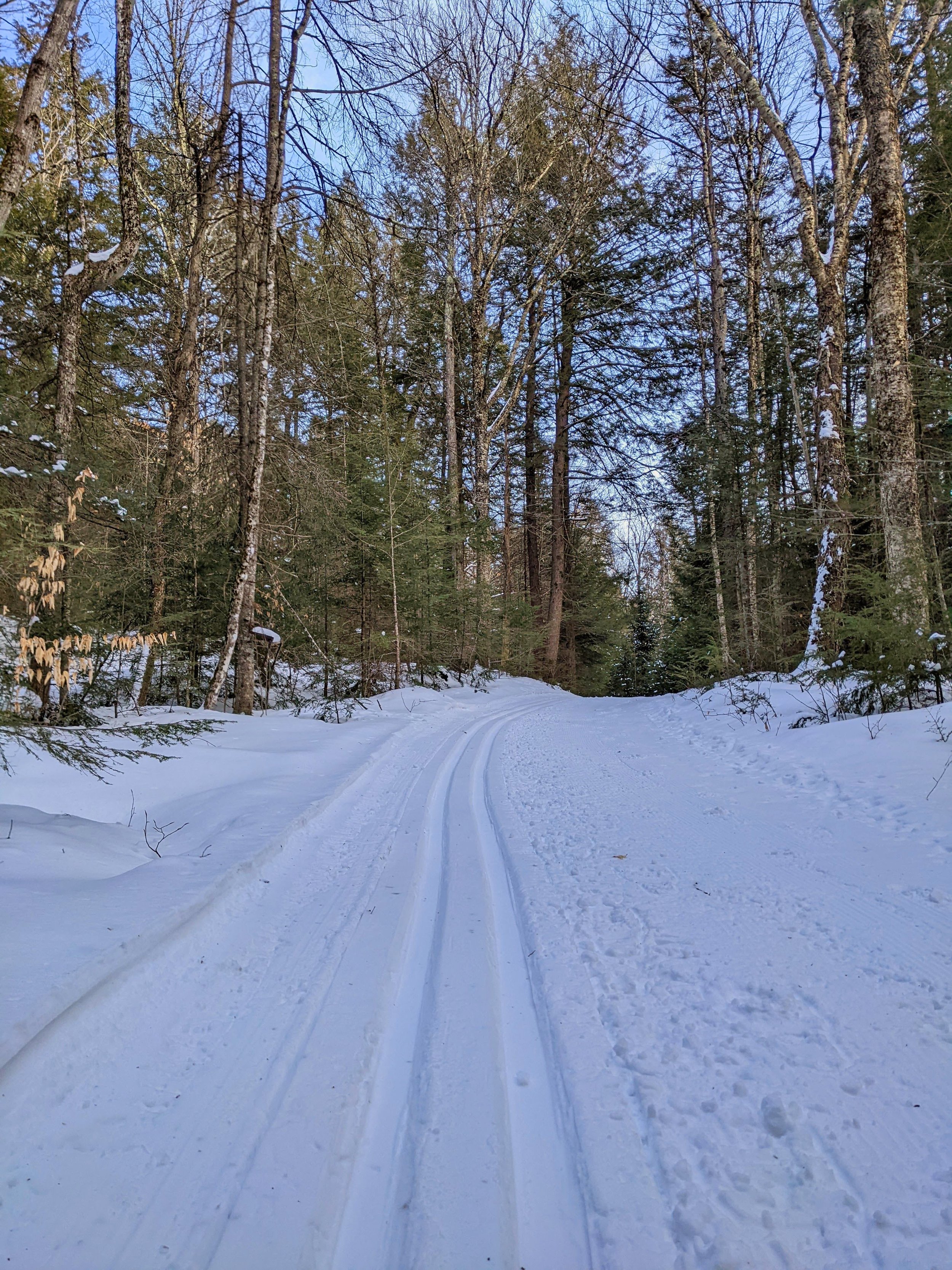 Viking Nordic skiing Londonderry Vermont