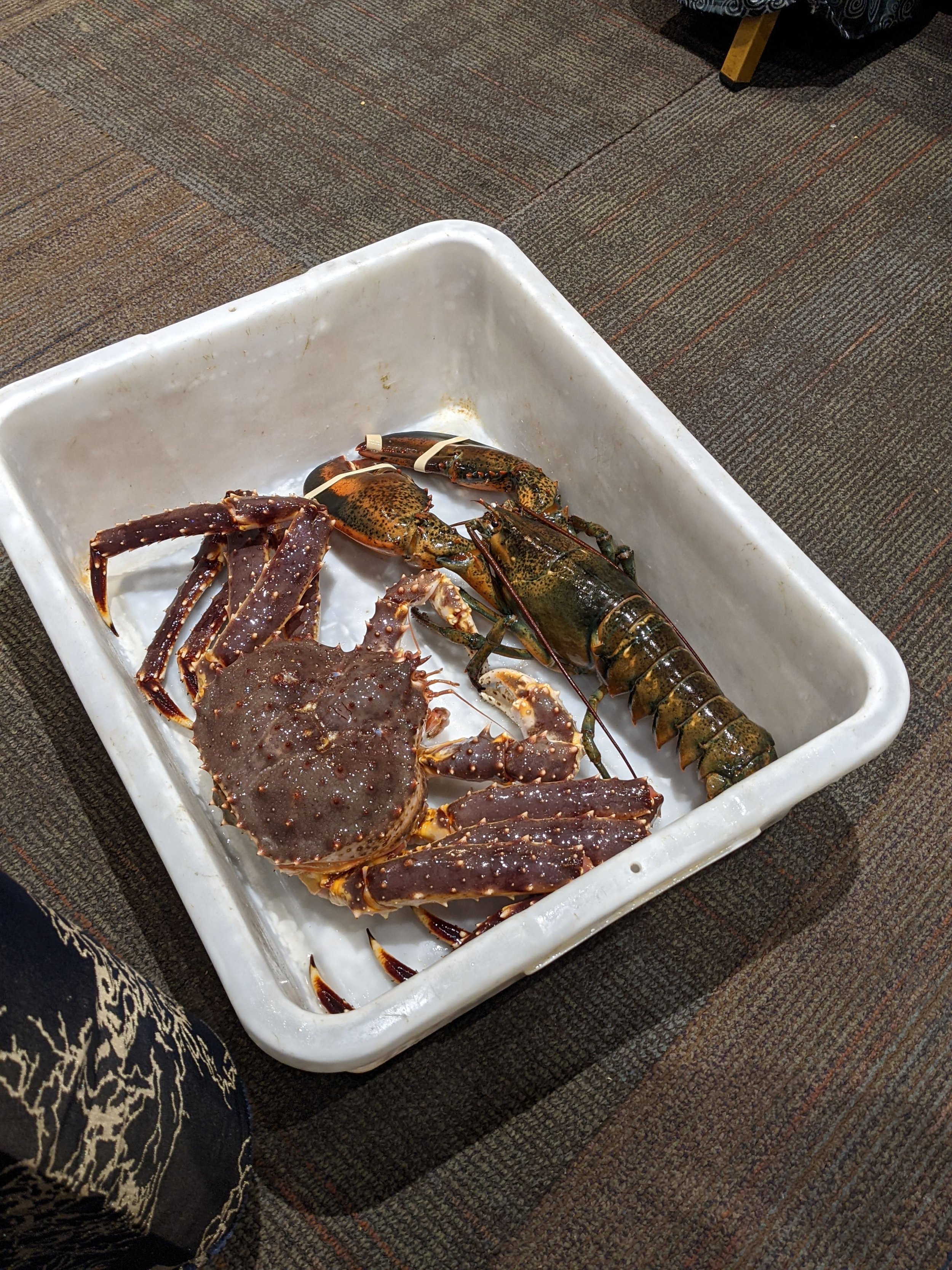 Fishman Lobster Clubhouse