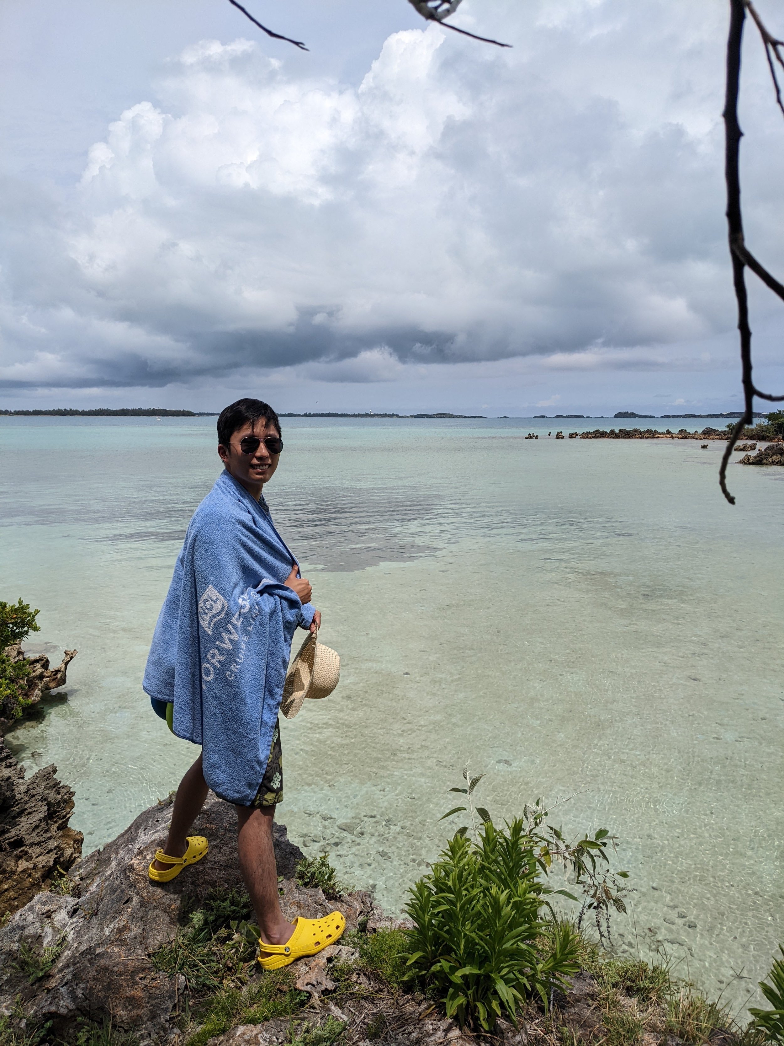 Bermuda Tom Moore's jungle