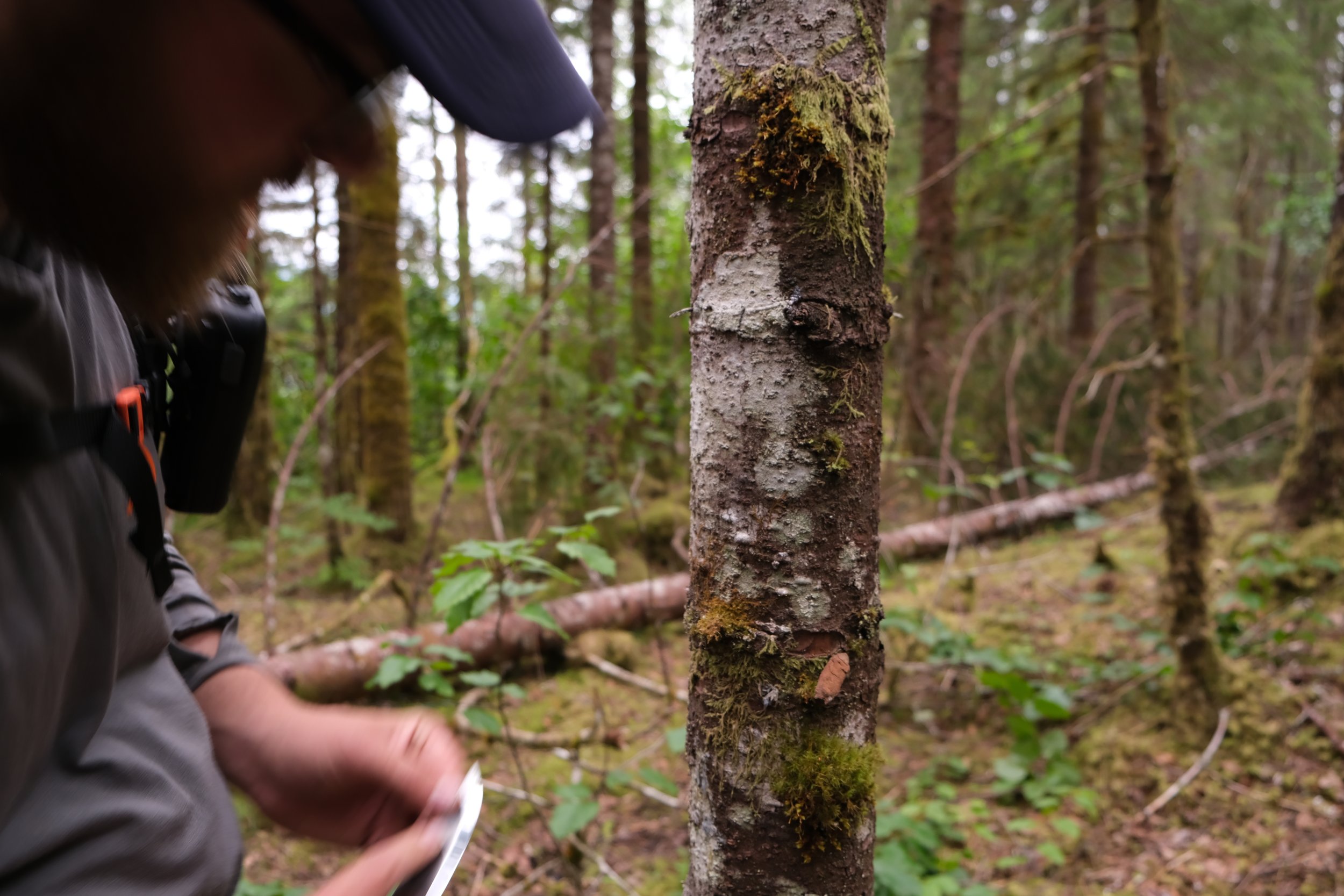 Above and Beyond Alaska tour