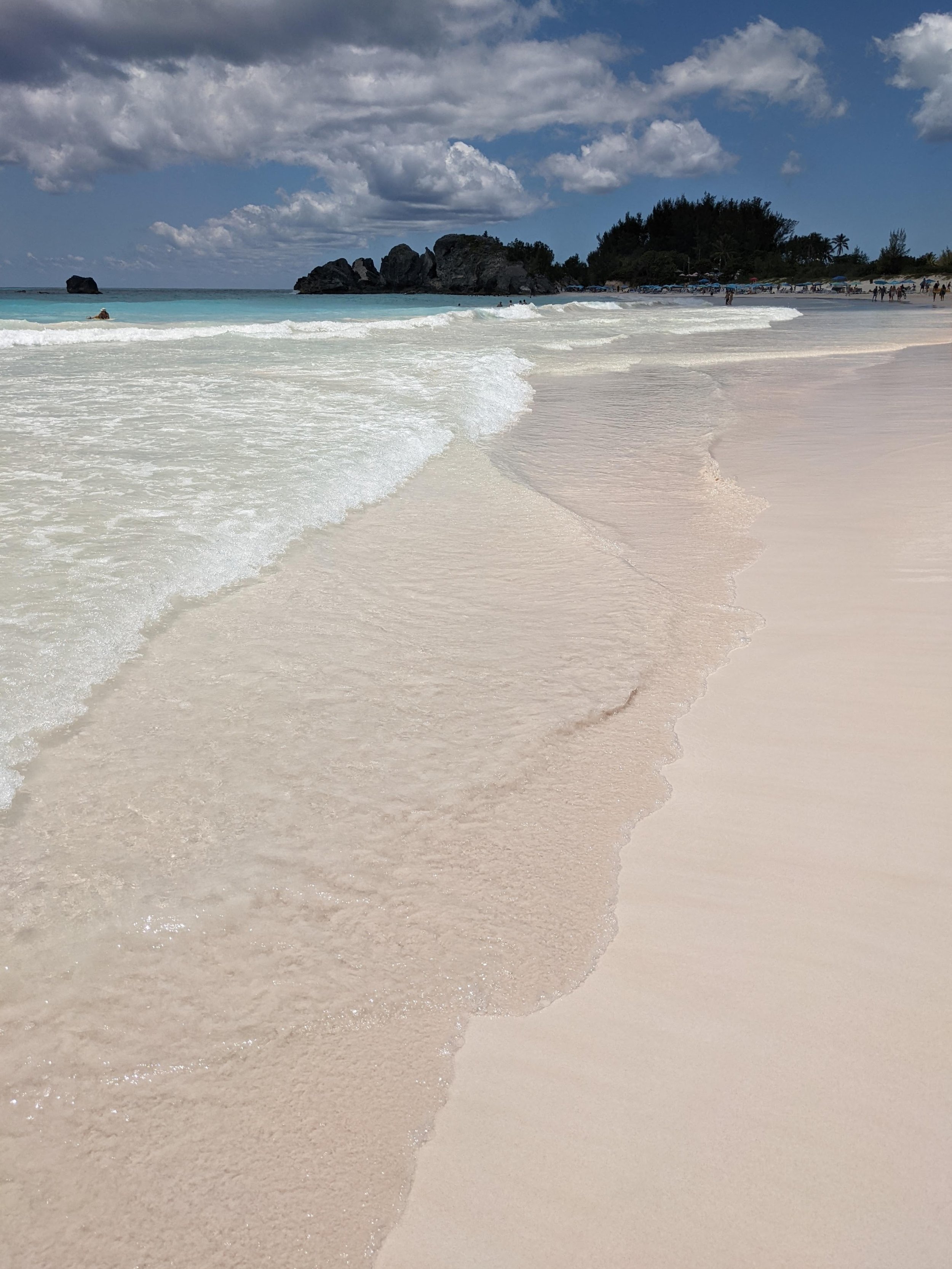 Bermuda pink sand beach