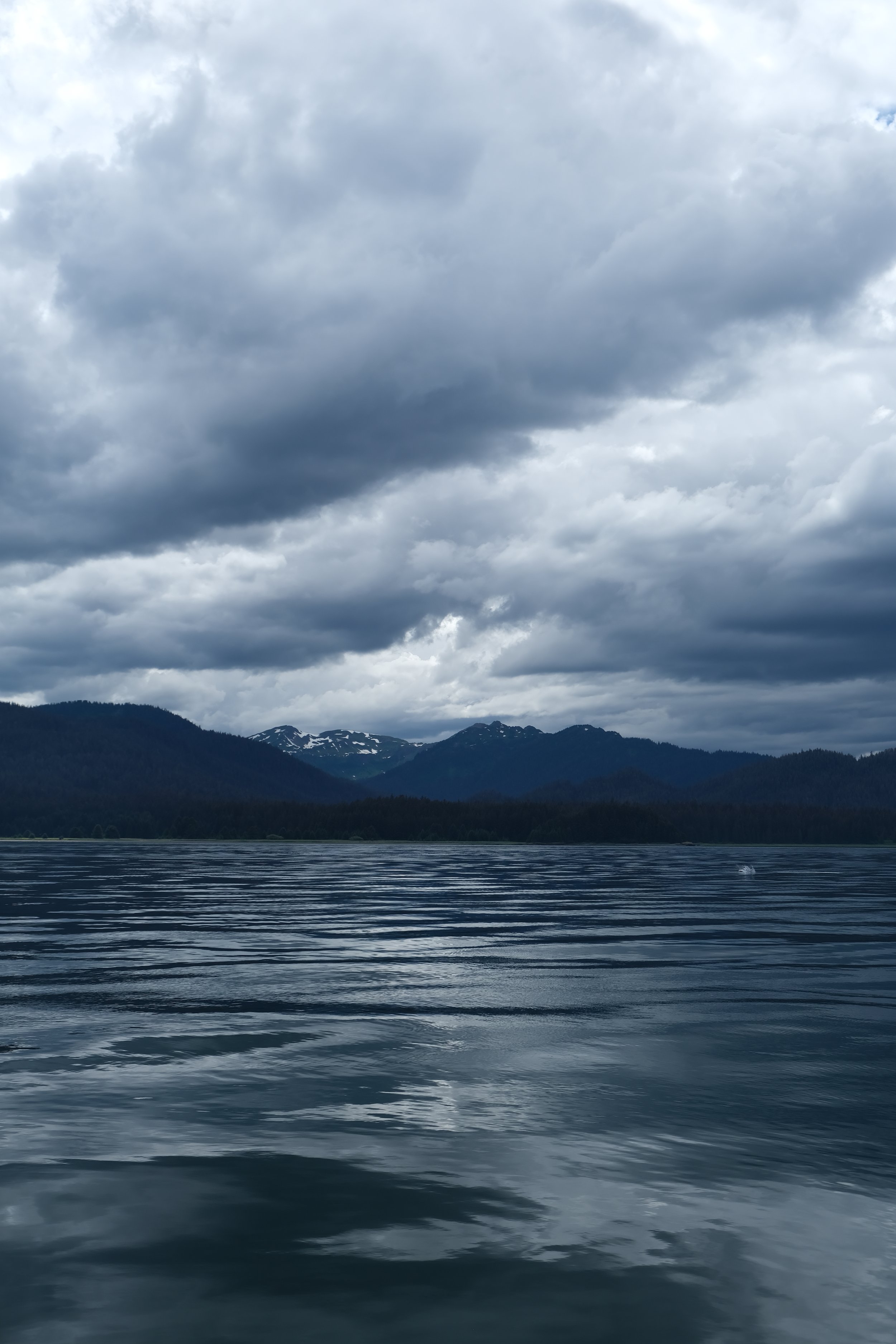 Alaska Icy Strait Point whale