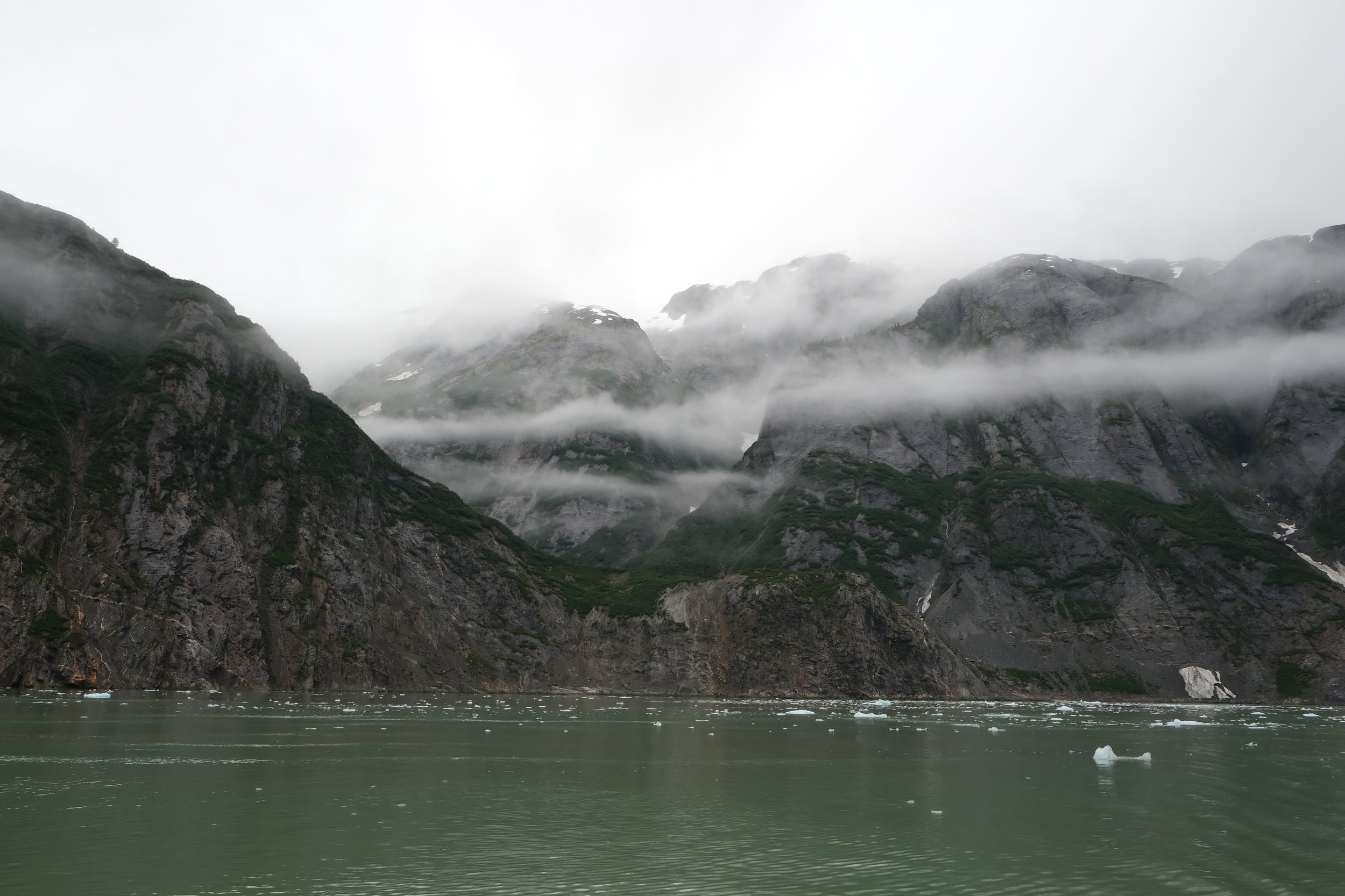 Carnival tracy arm fjord excursion