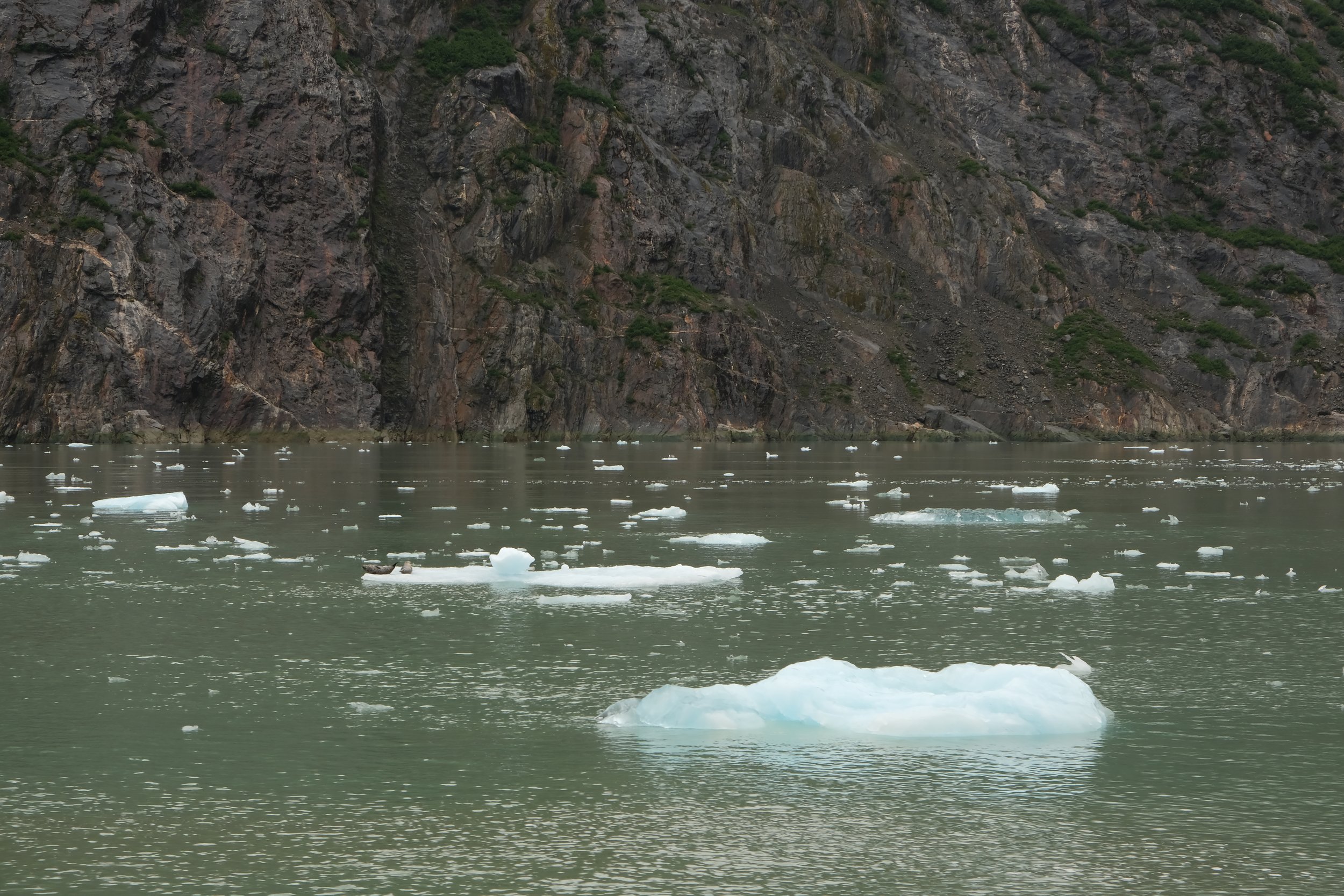 Tracy Arm Fjord boat