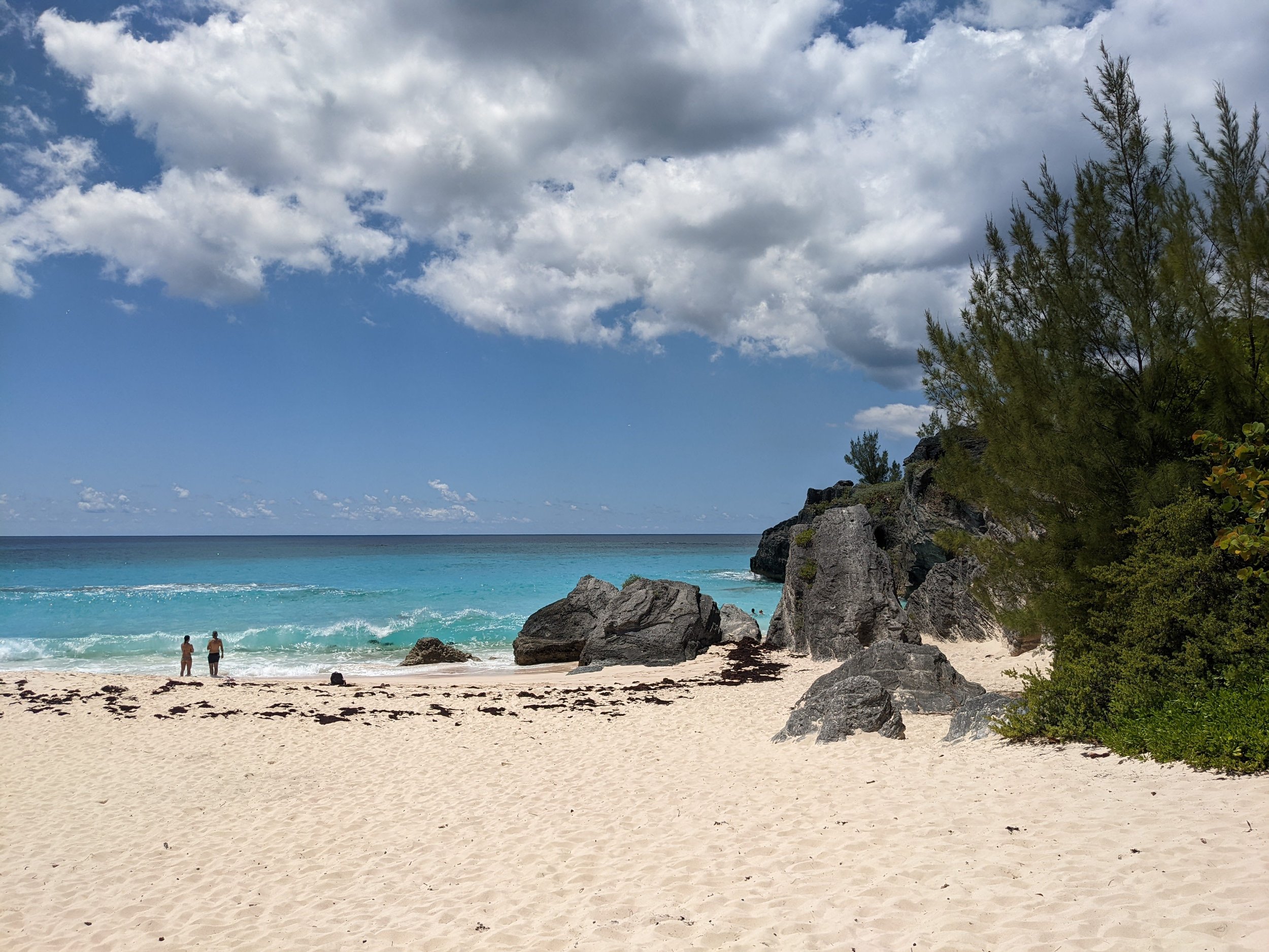 Bermuda beach cove