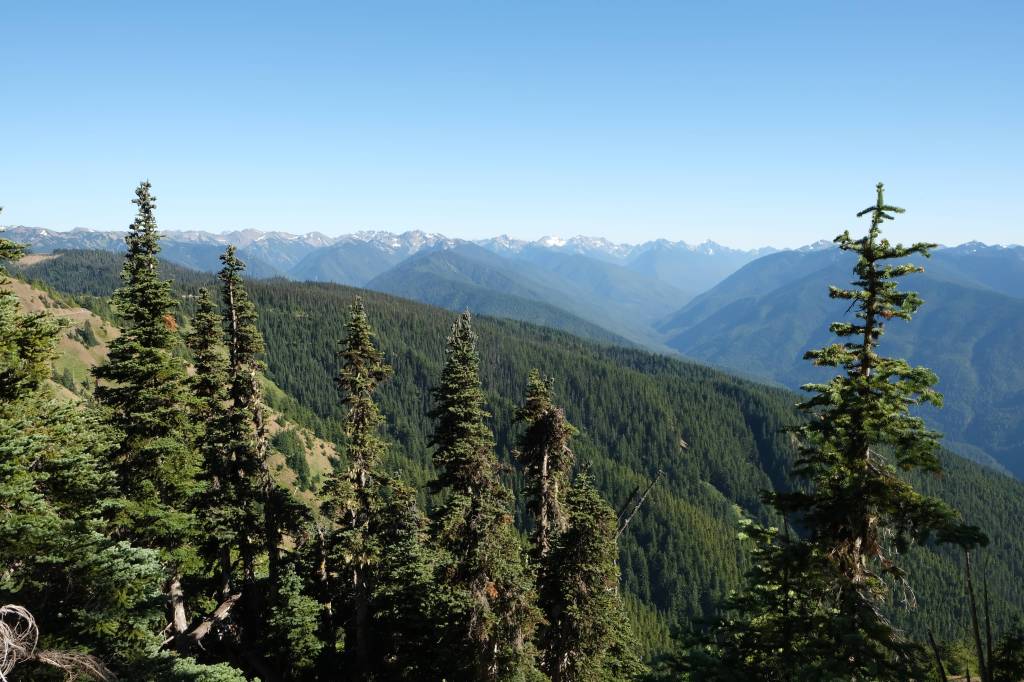 Seattle To Olympic National&nbsp;Park