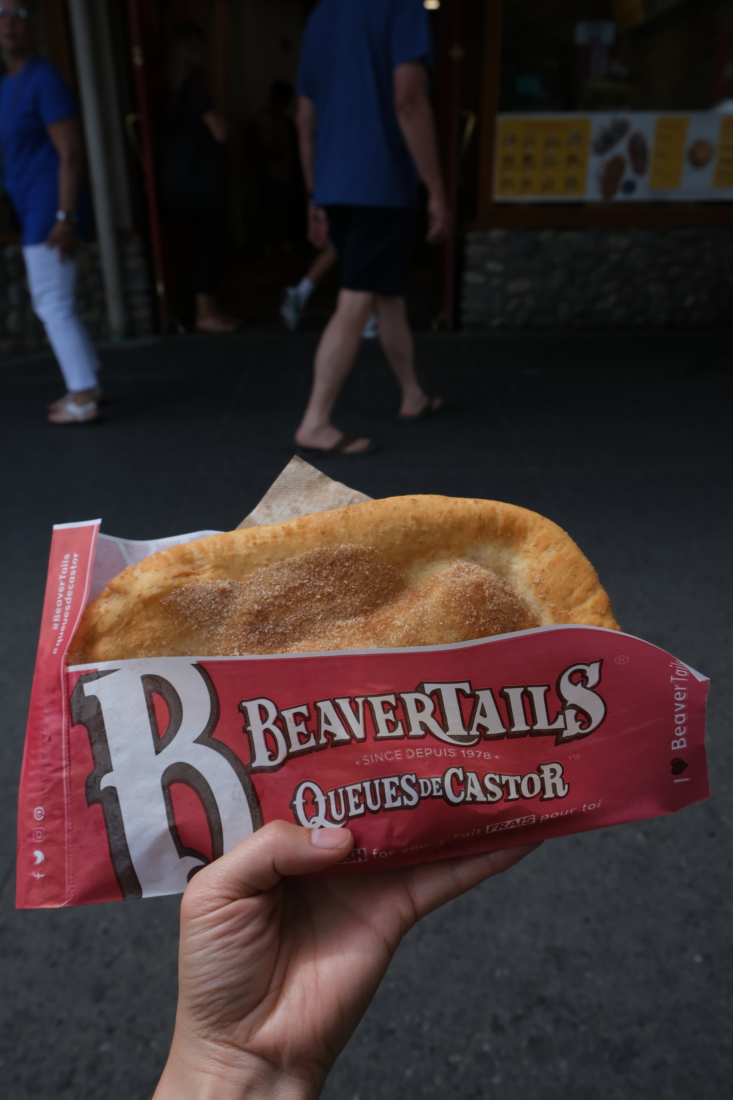Canada beaver tail