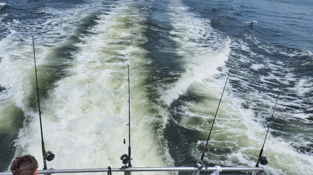 Charter Fishing In Long Island&nbsp;Sound