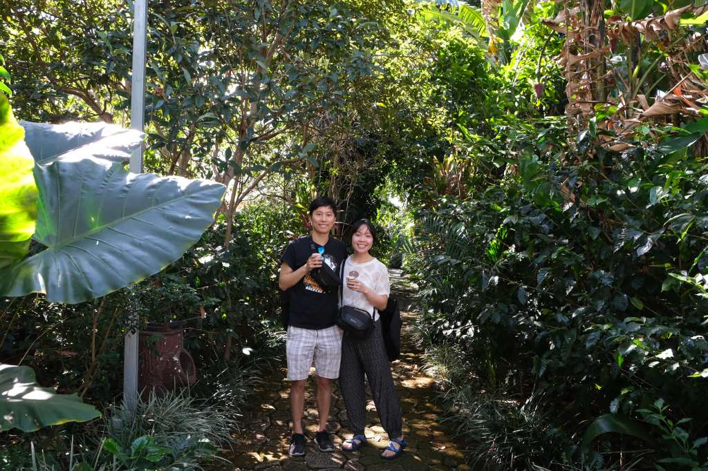 Classic Britt Coffee Tour, Costa&nbsp;Rica